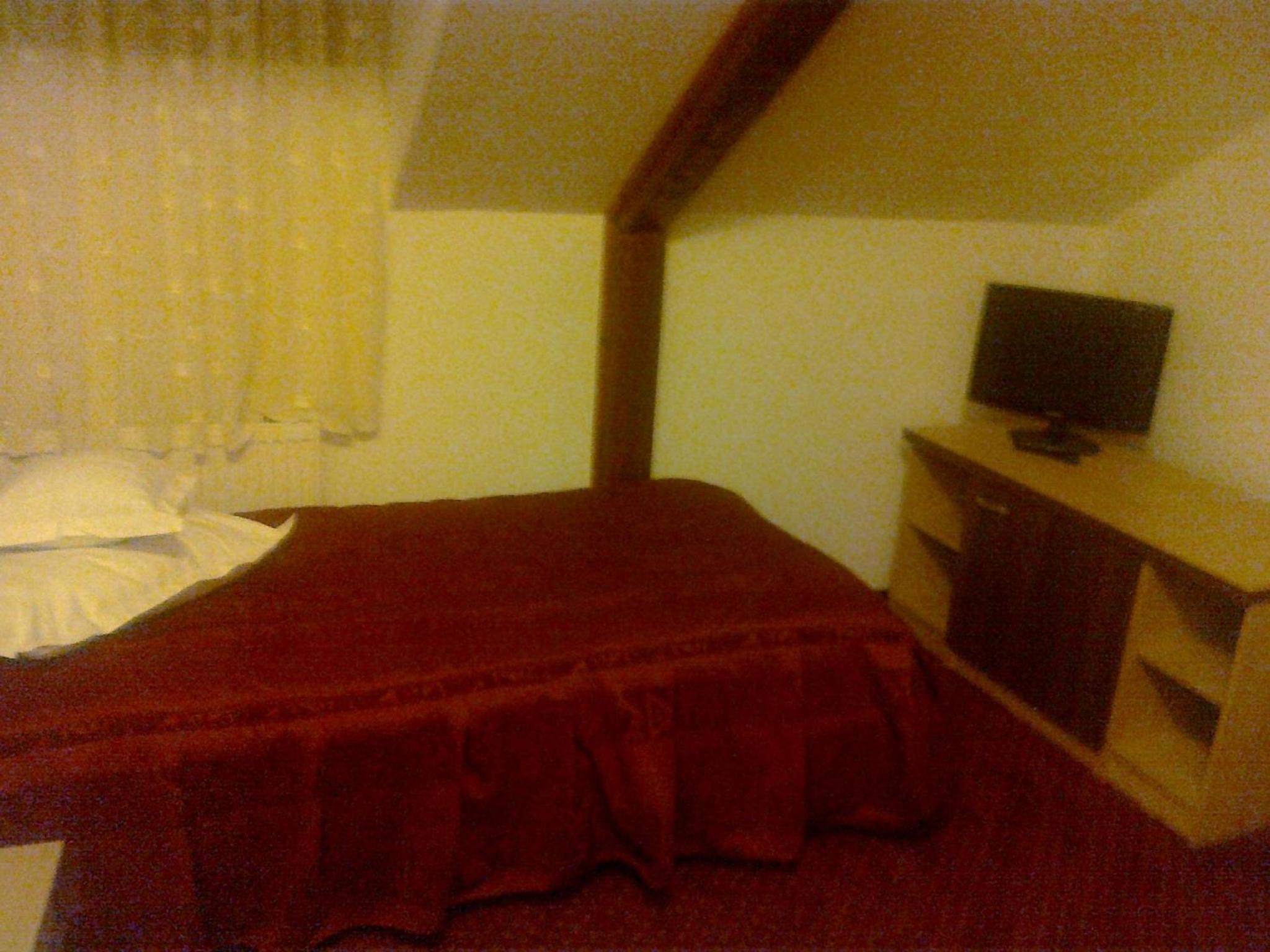 Photo 50