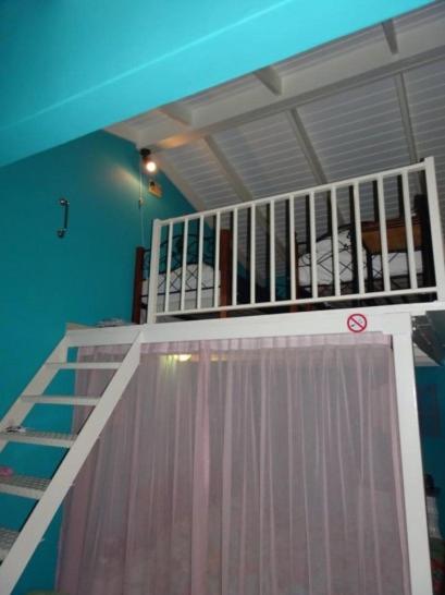 Droomstudio seru coral 32
