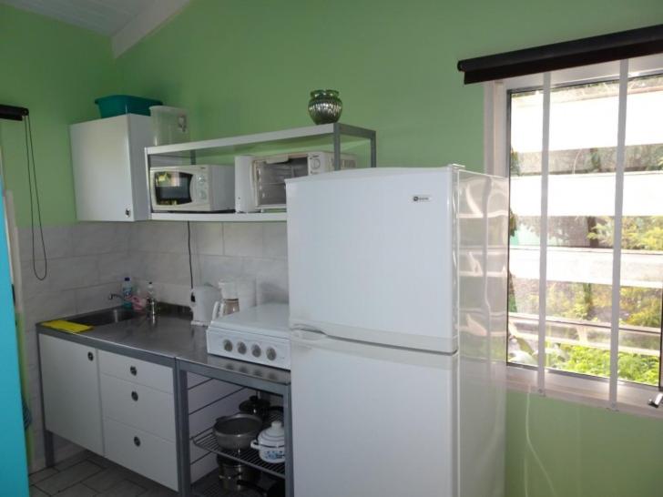 Droomstudio seru coral 32