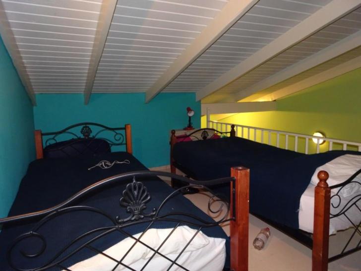 Droomstudio seru coral 32
