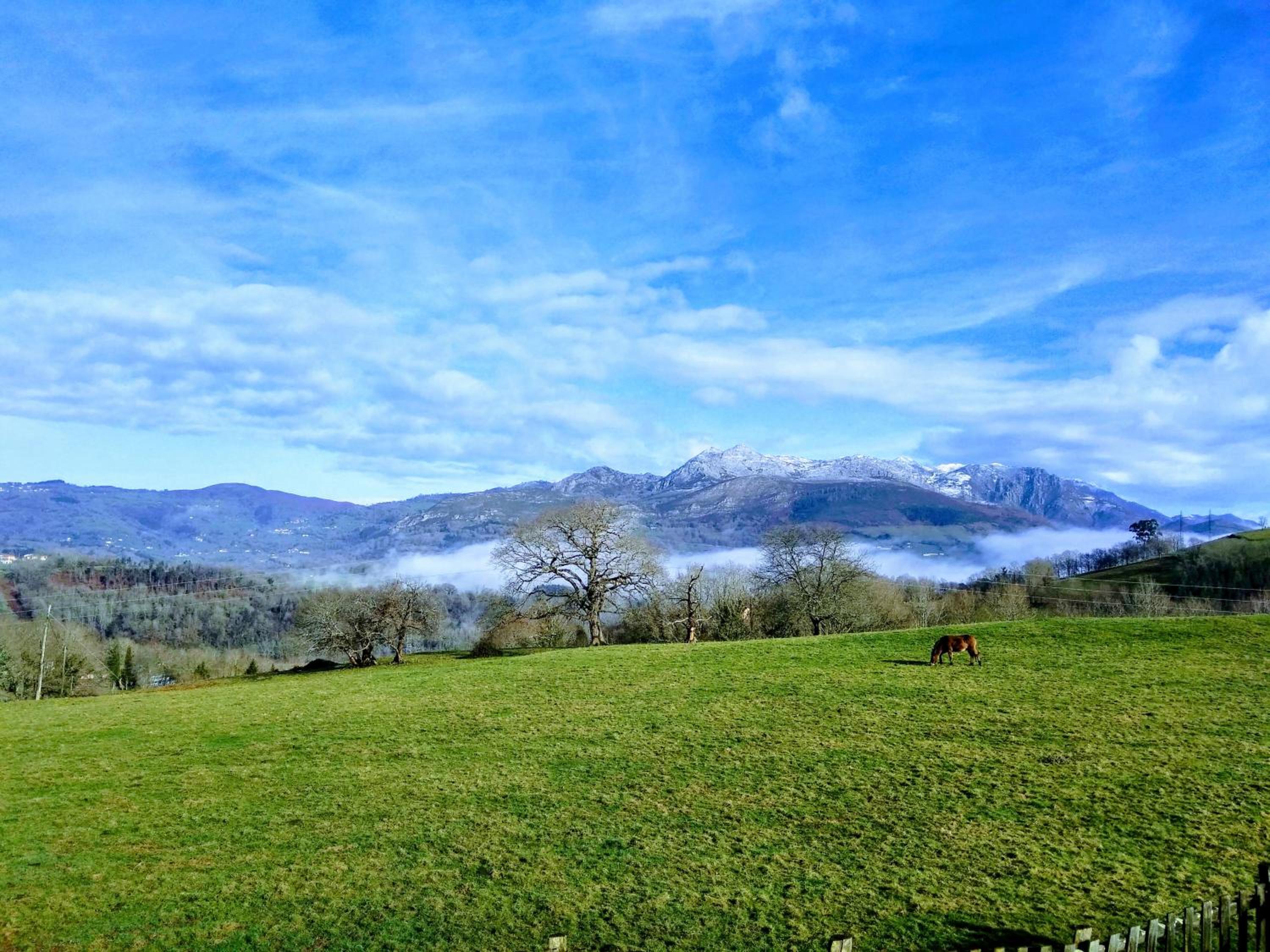Finca el Palacio view 4