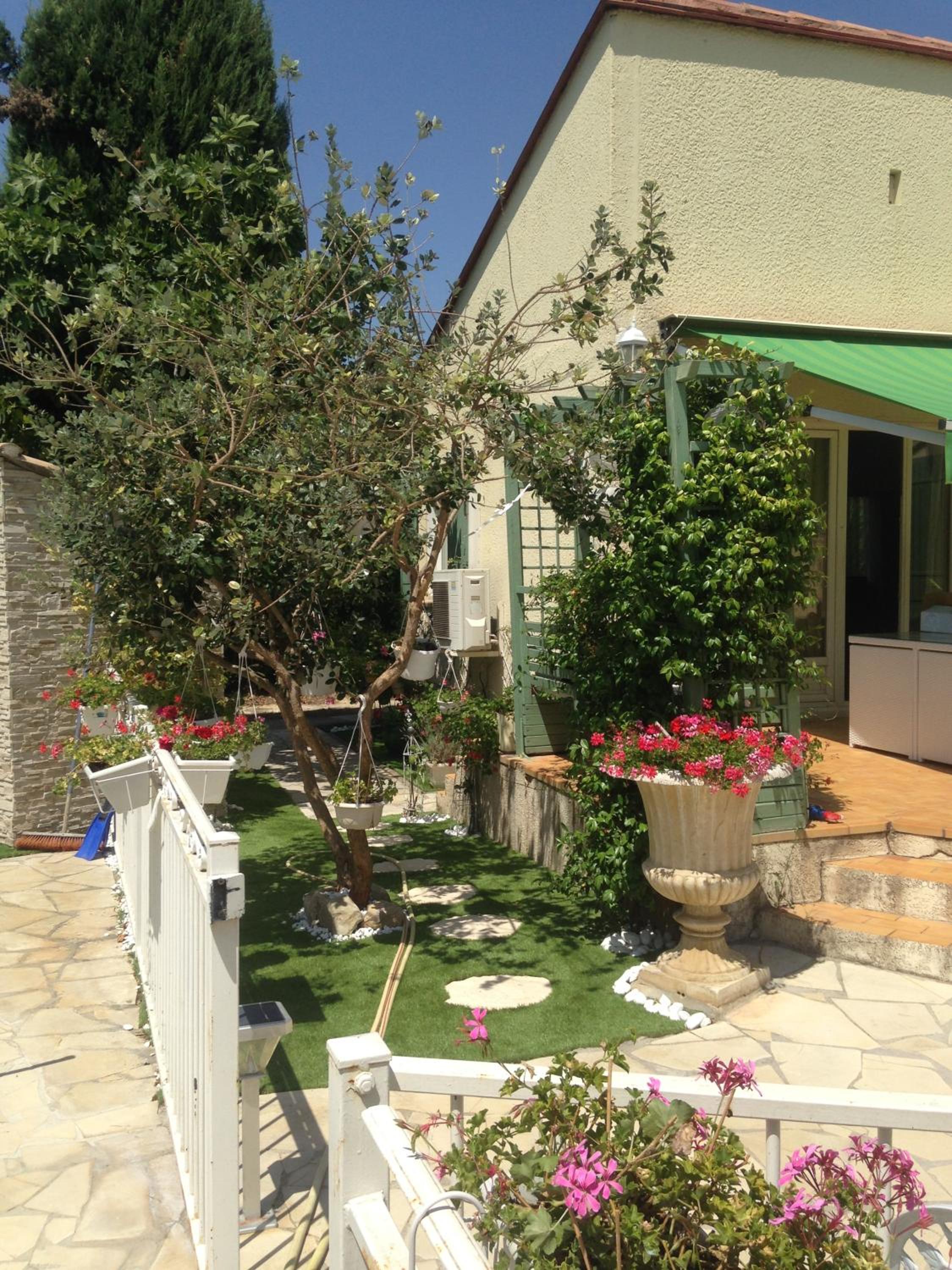 Photo 35