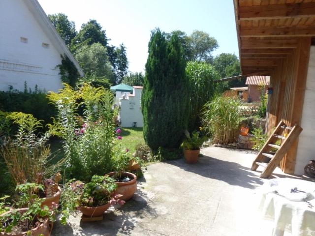 Photo 22