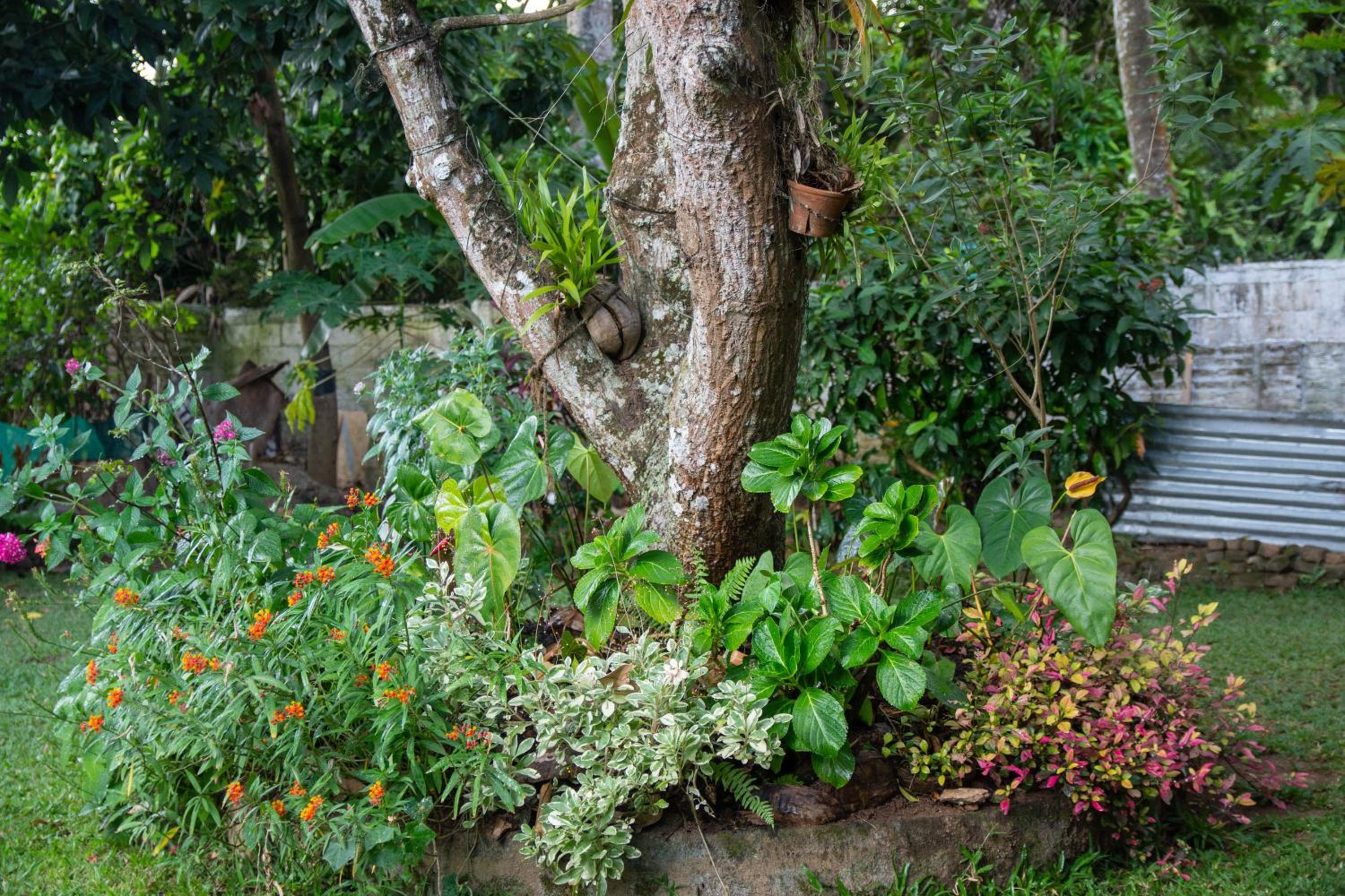Photo 8