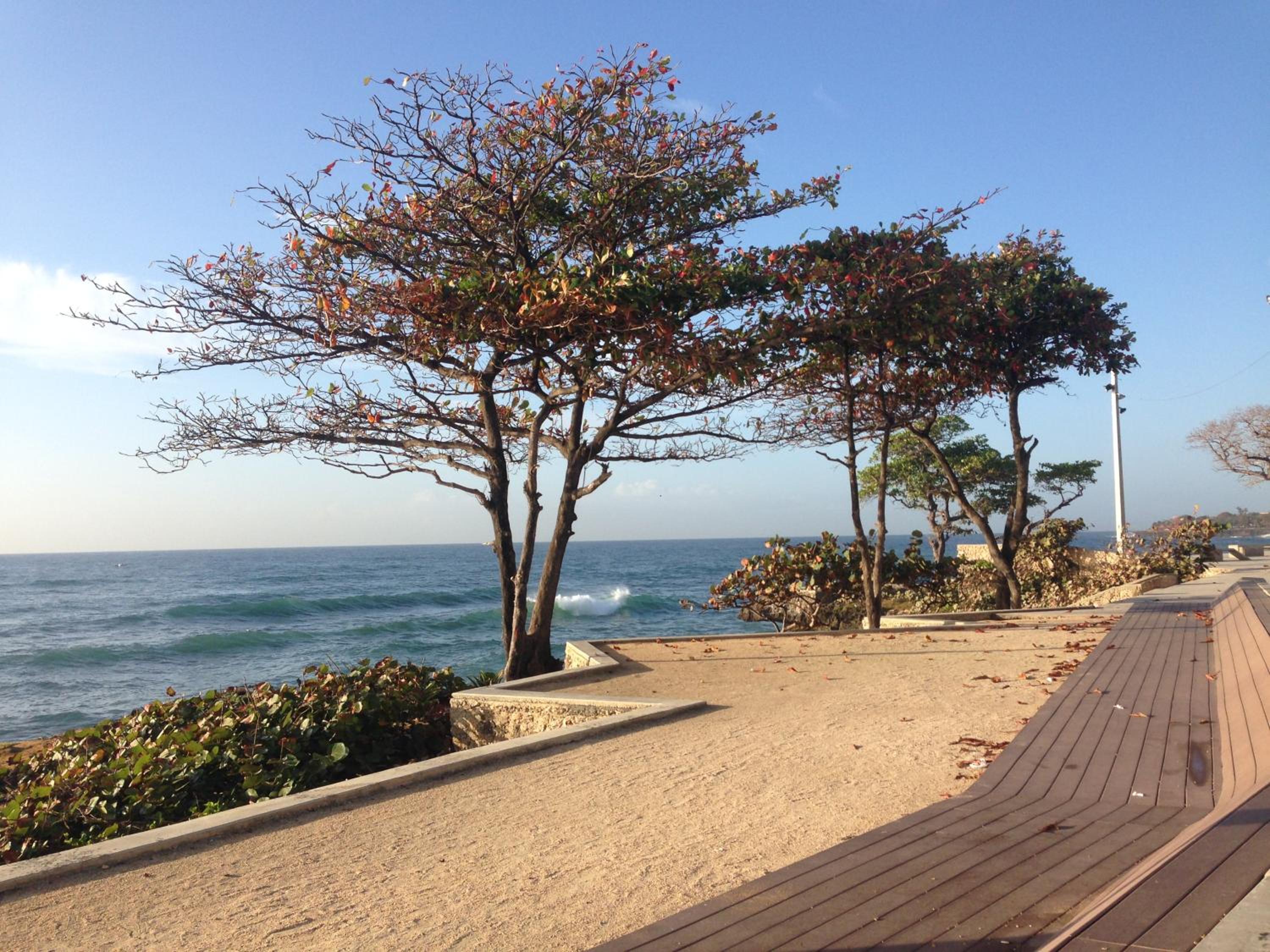 Caribbean Seaview apart Malecon Santo Domingo