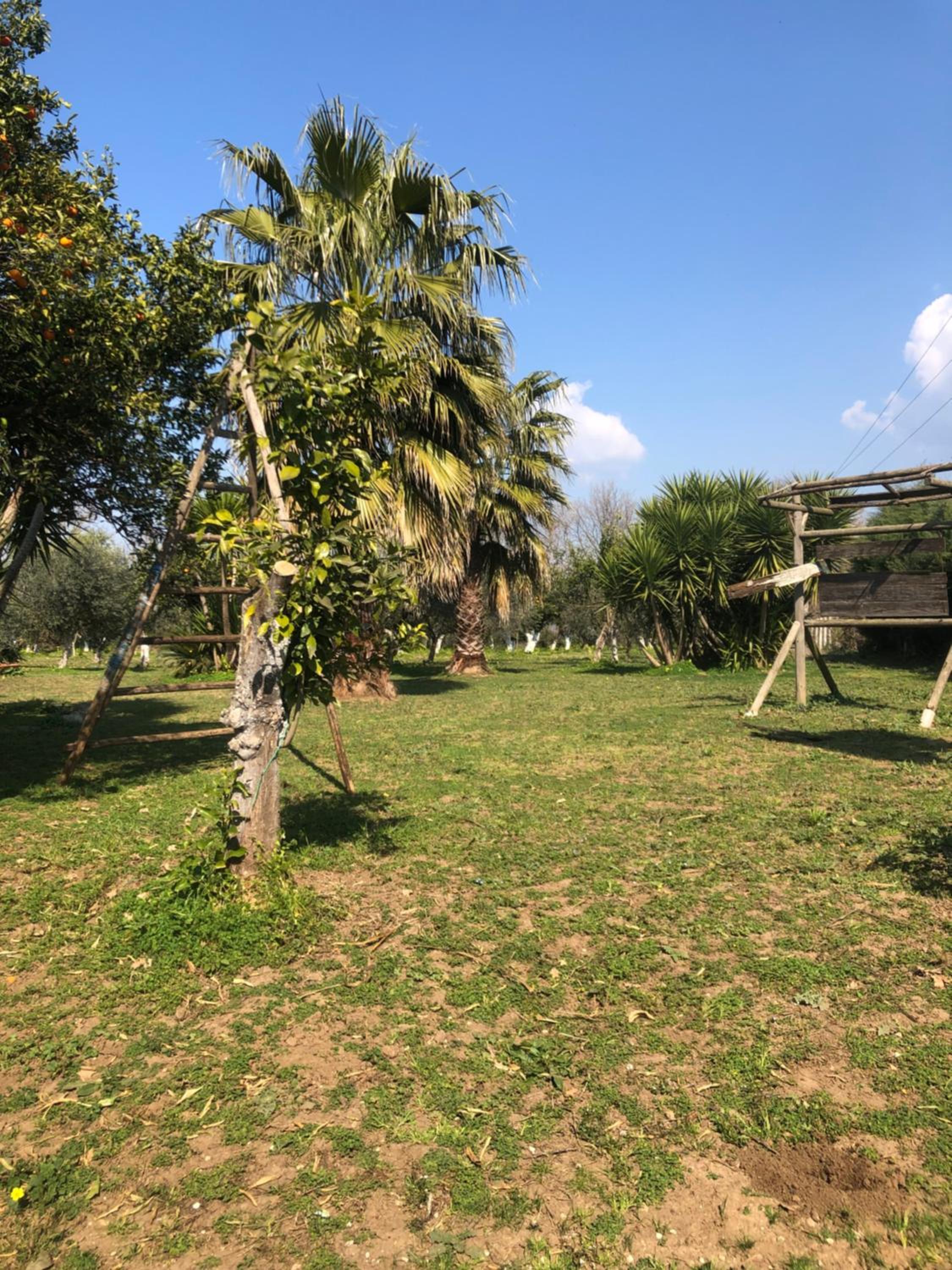 Decri resort, photo 179