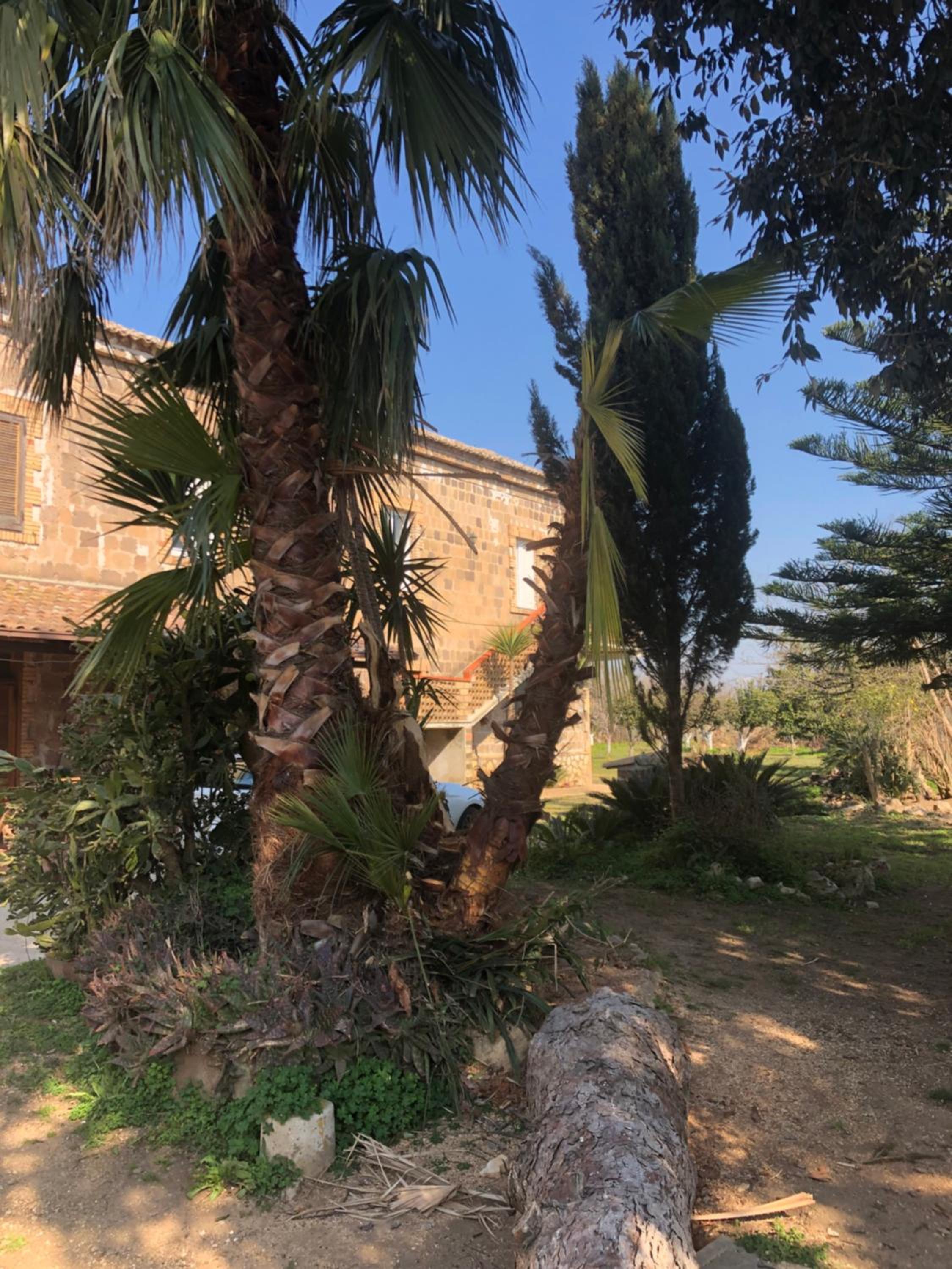 Decri resort, photo 62