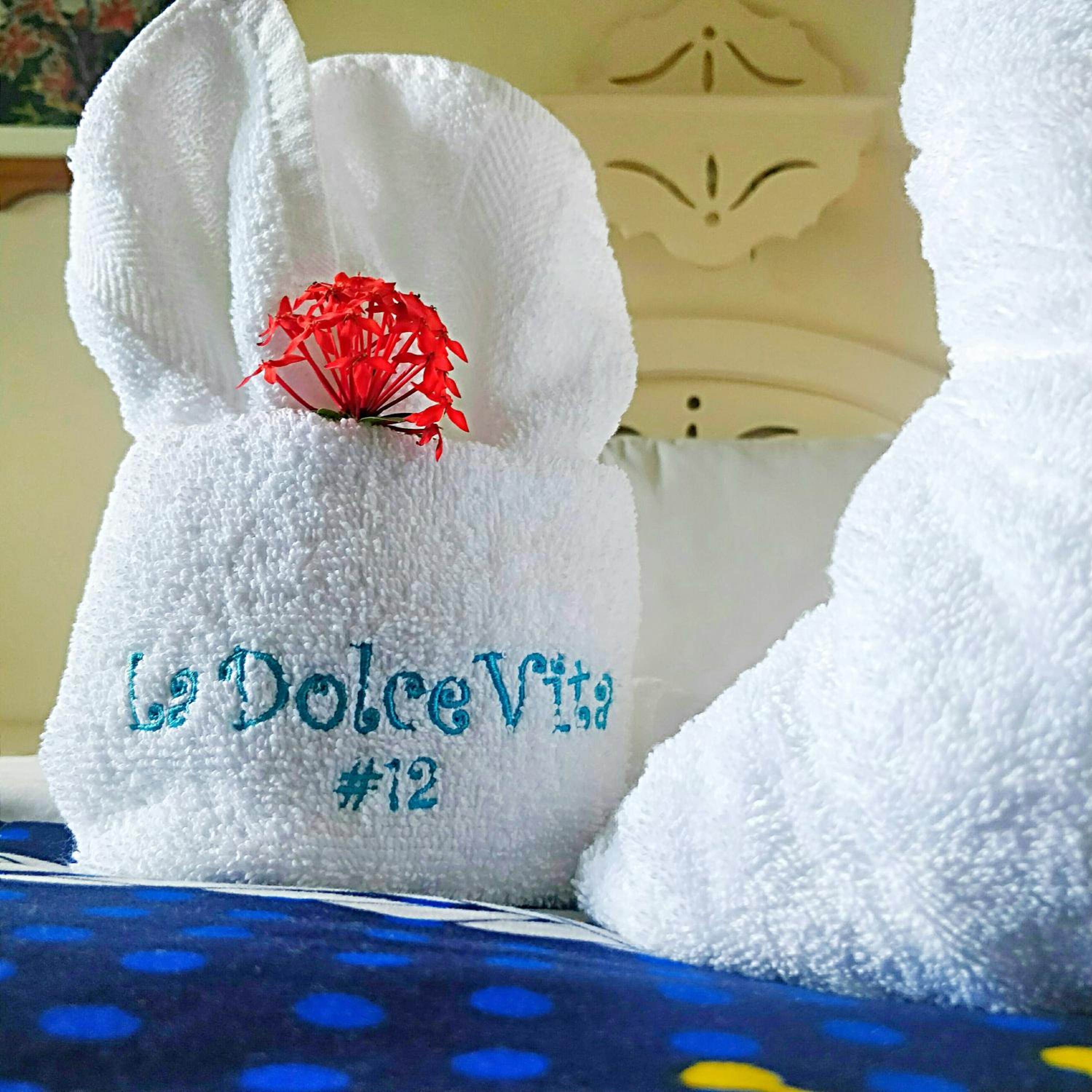 La Dolce Vita 12 Beachfront Hotels, Las Terrenas, Samana