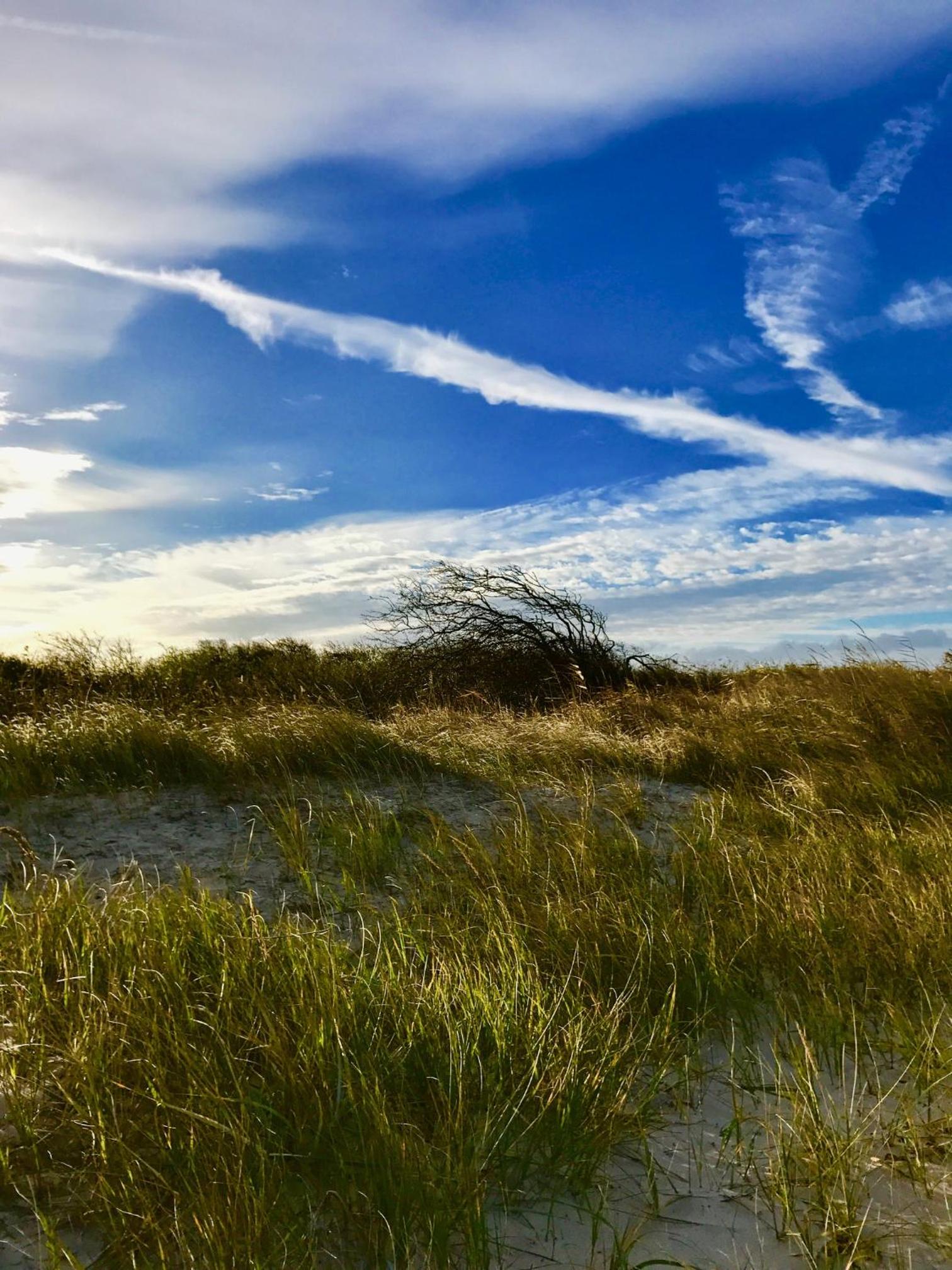 Ferienwohnung-Strandspaziergang, kleine Wohnung