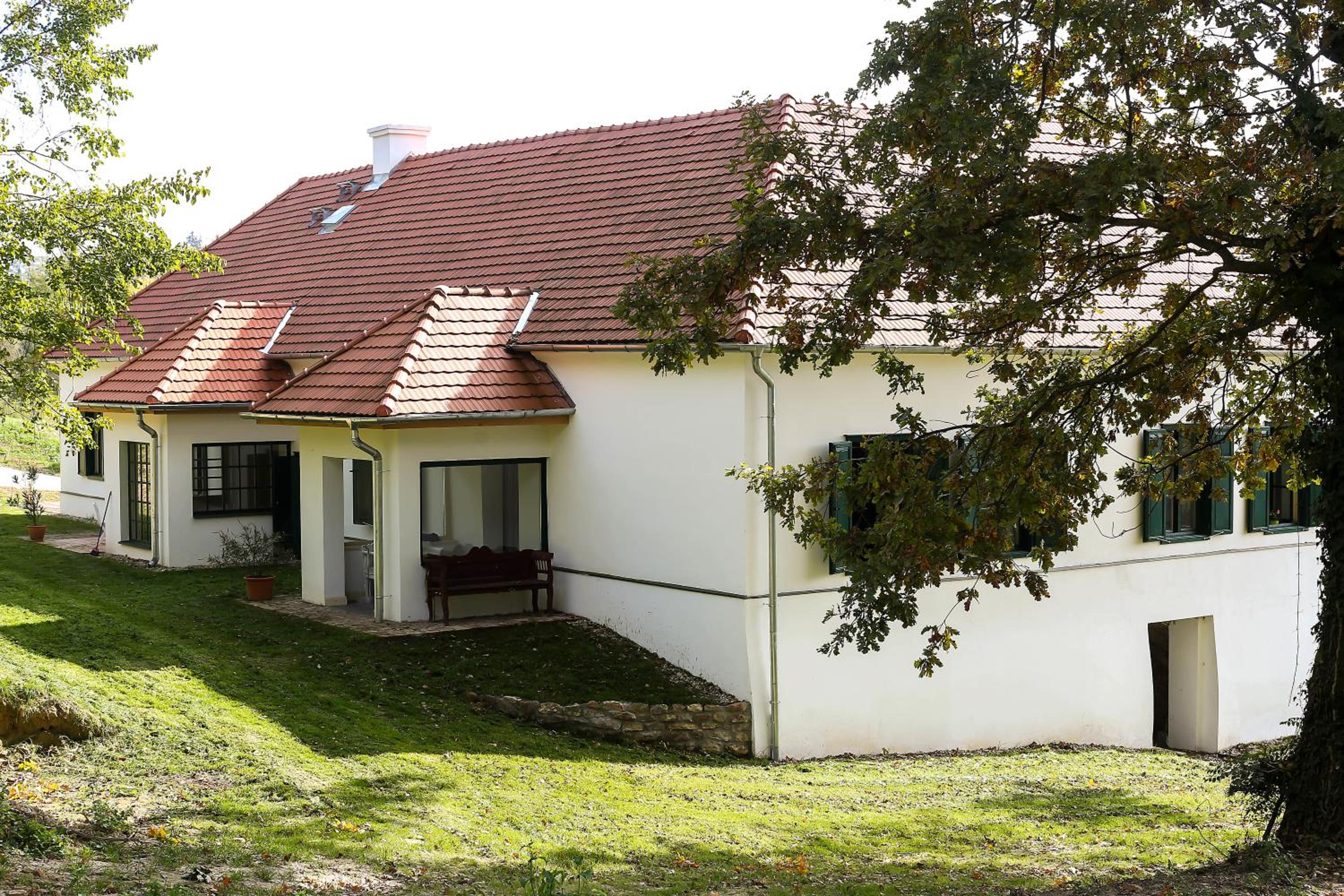 Photo 12