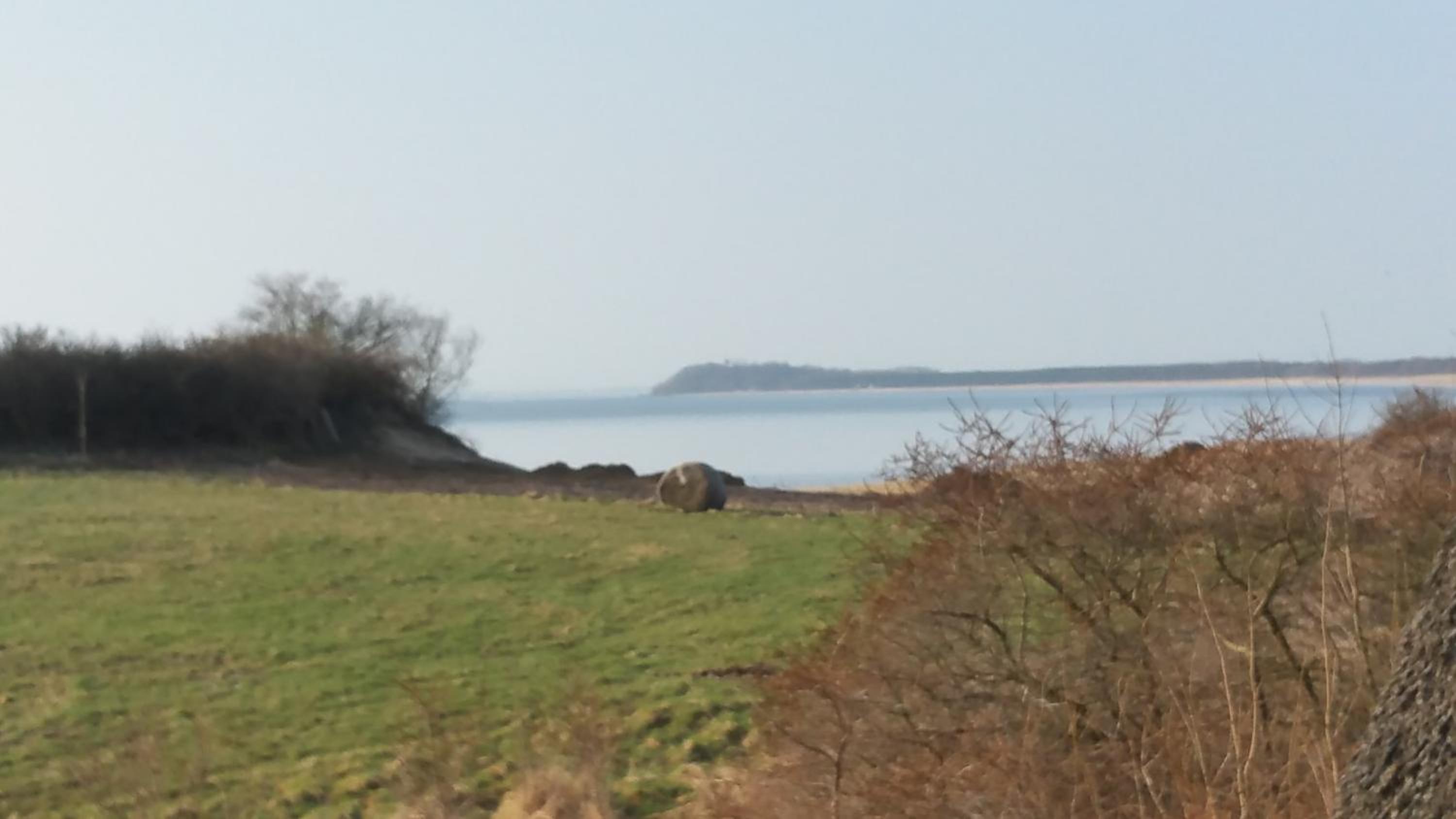 Fewo 18 im Strandhaus Lobbe mit Balkon