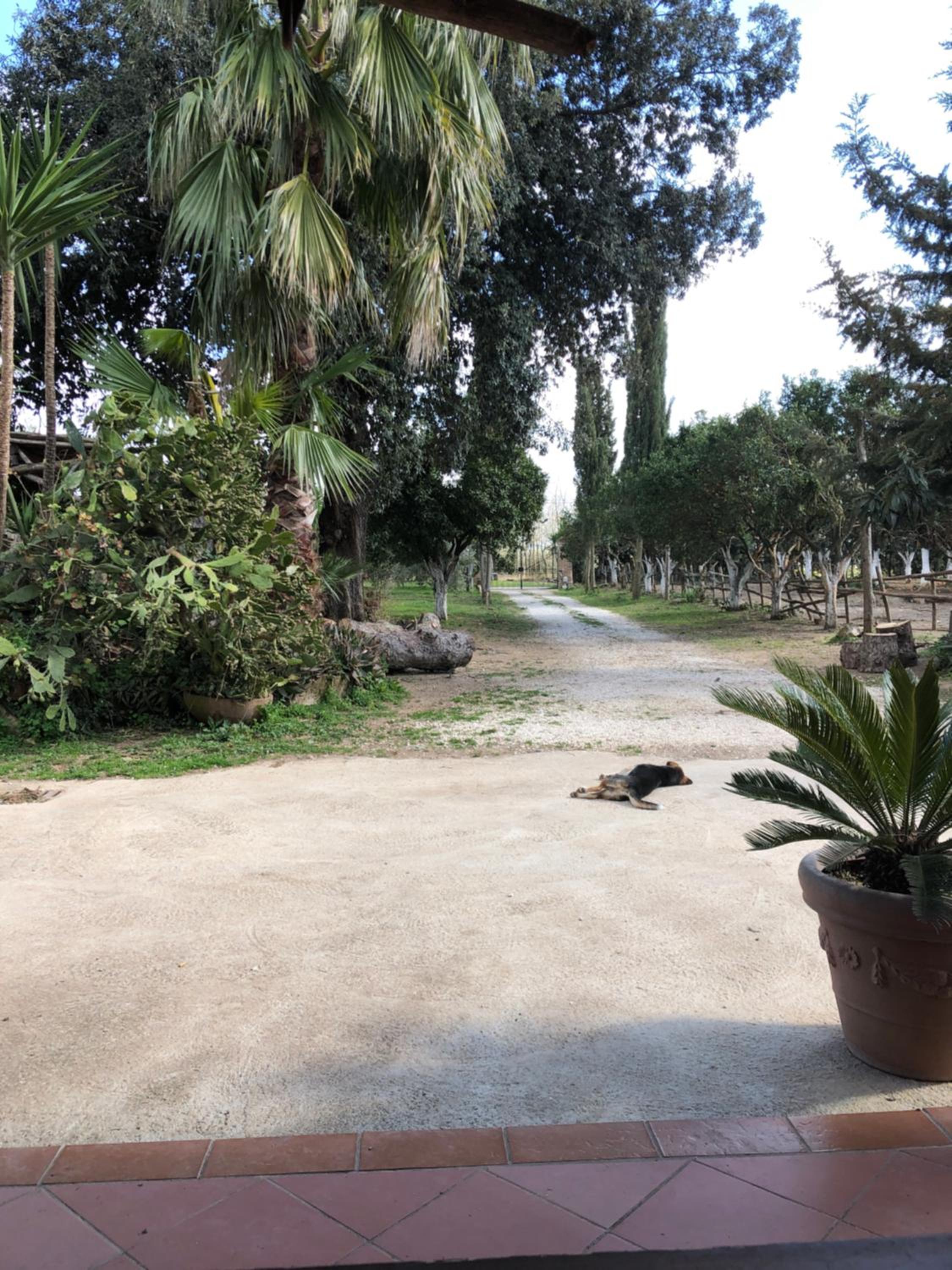 Decri resort, photo 163