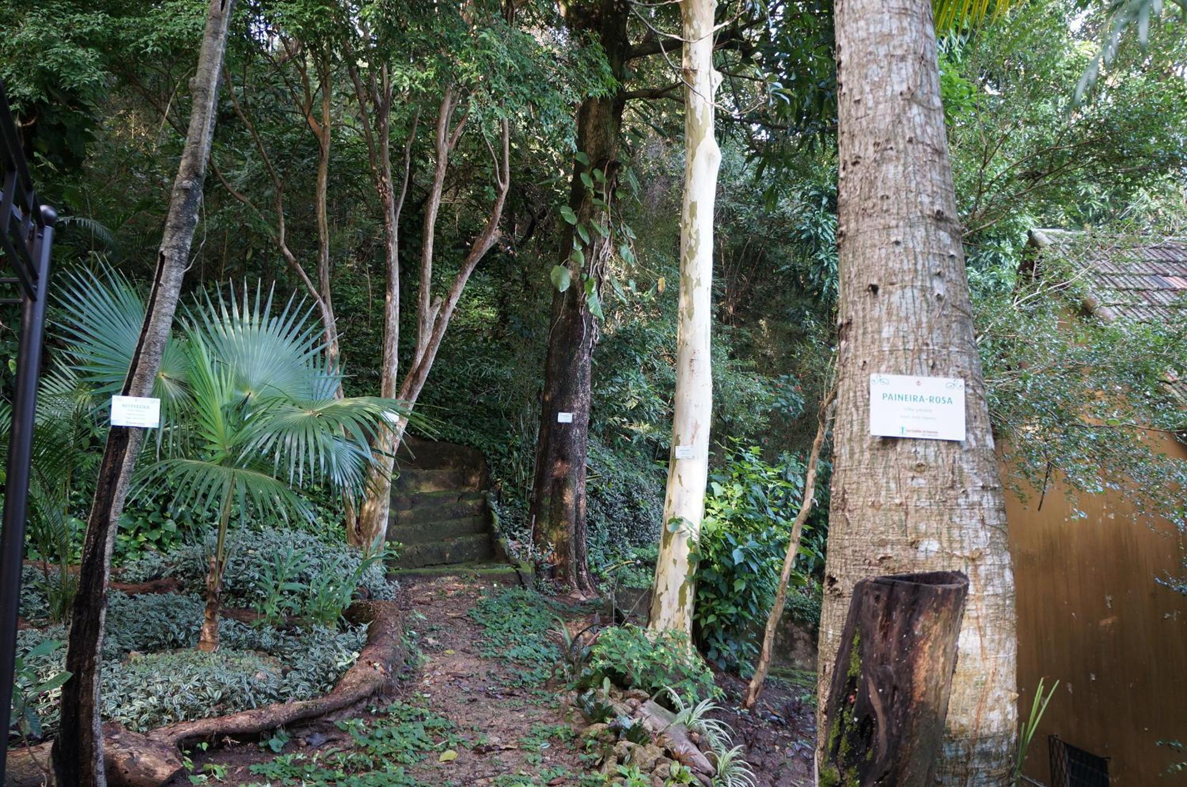 Casa Caminho do Corcovado - Pet friendly