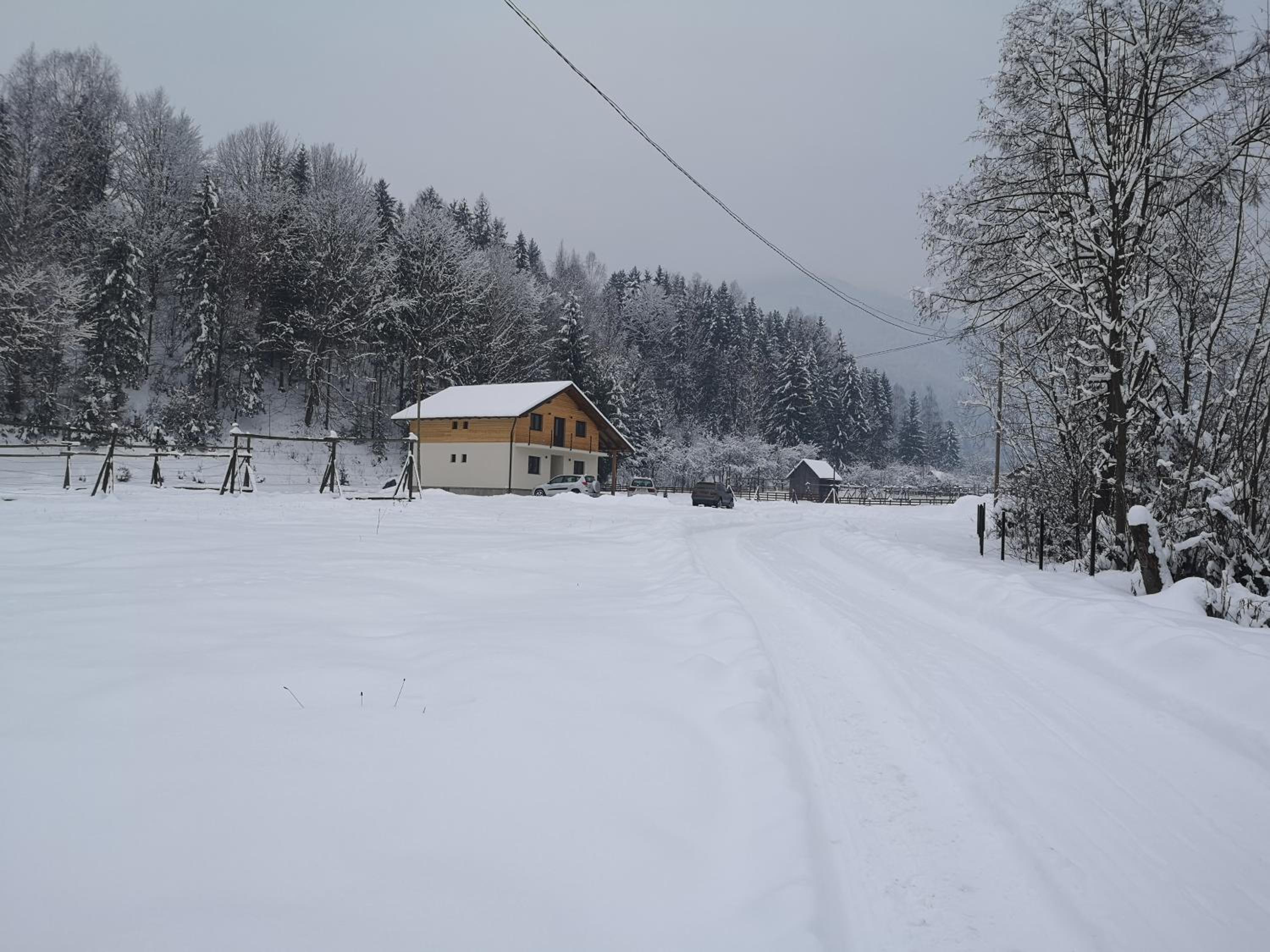 Photo 27