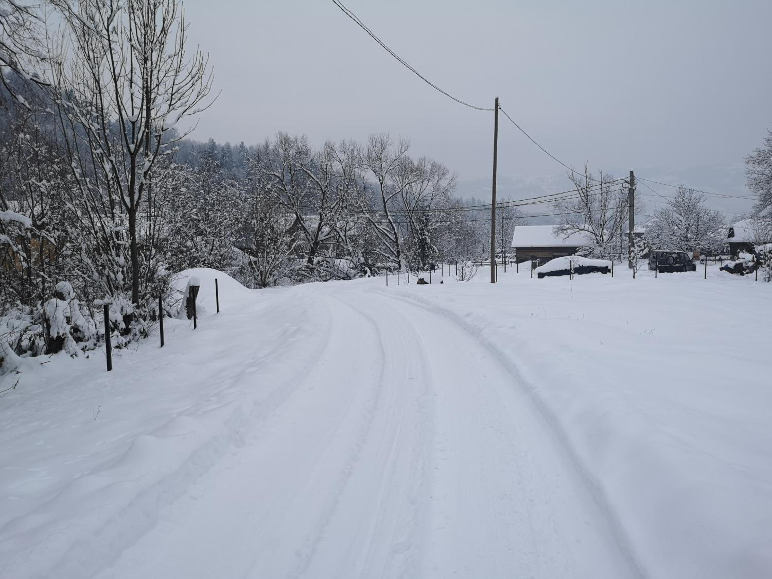 Photo 31