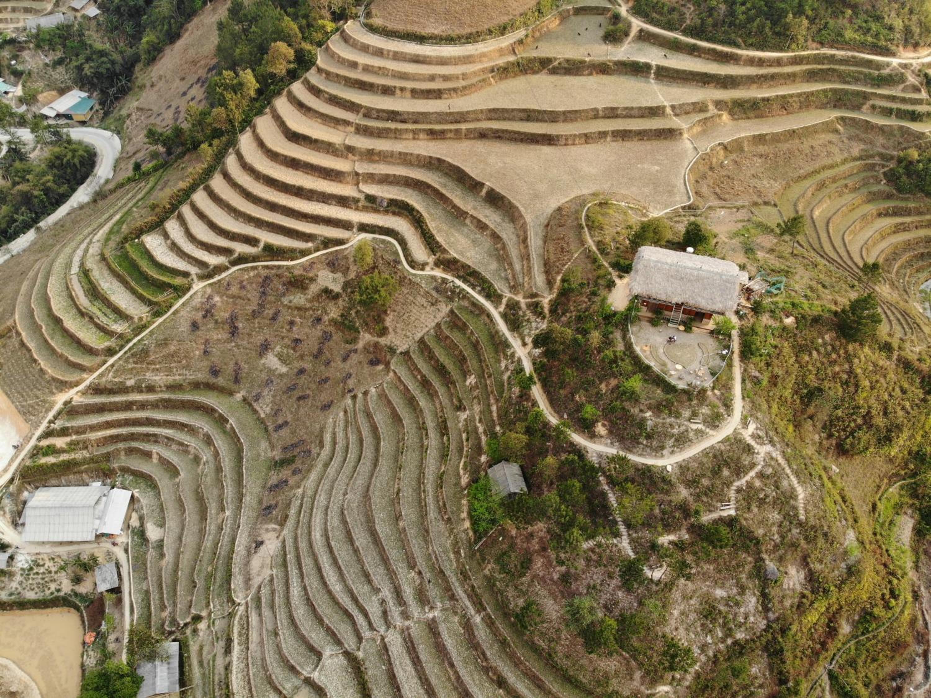 Hello Mu Cang Chai Homestay & Tours