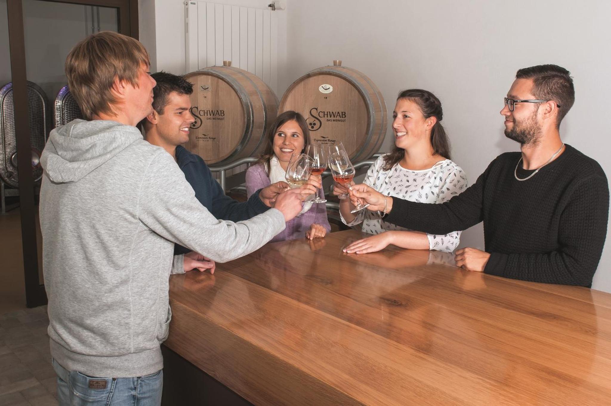 Pension Weingut Schwab - Property Image 10