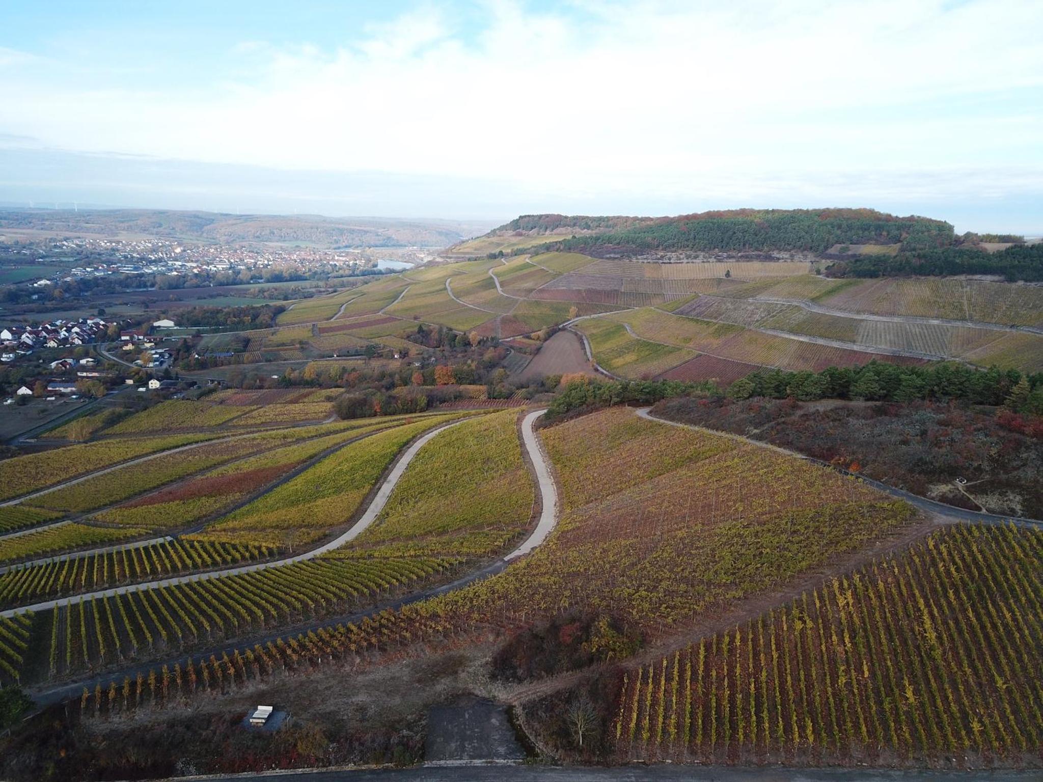 Pension Weingut Schwab - Property Image 9
