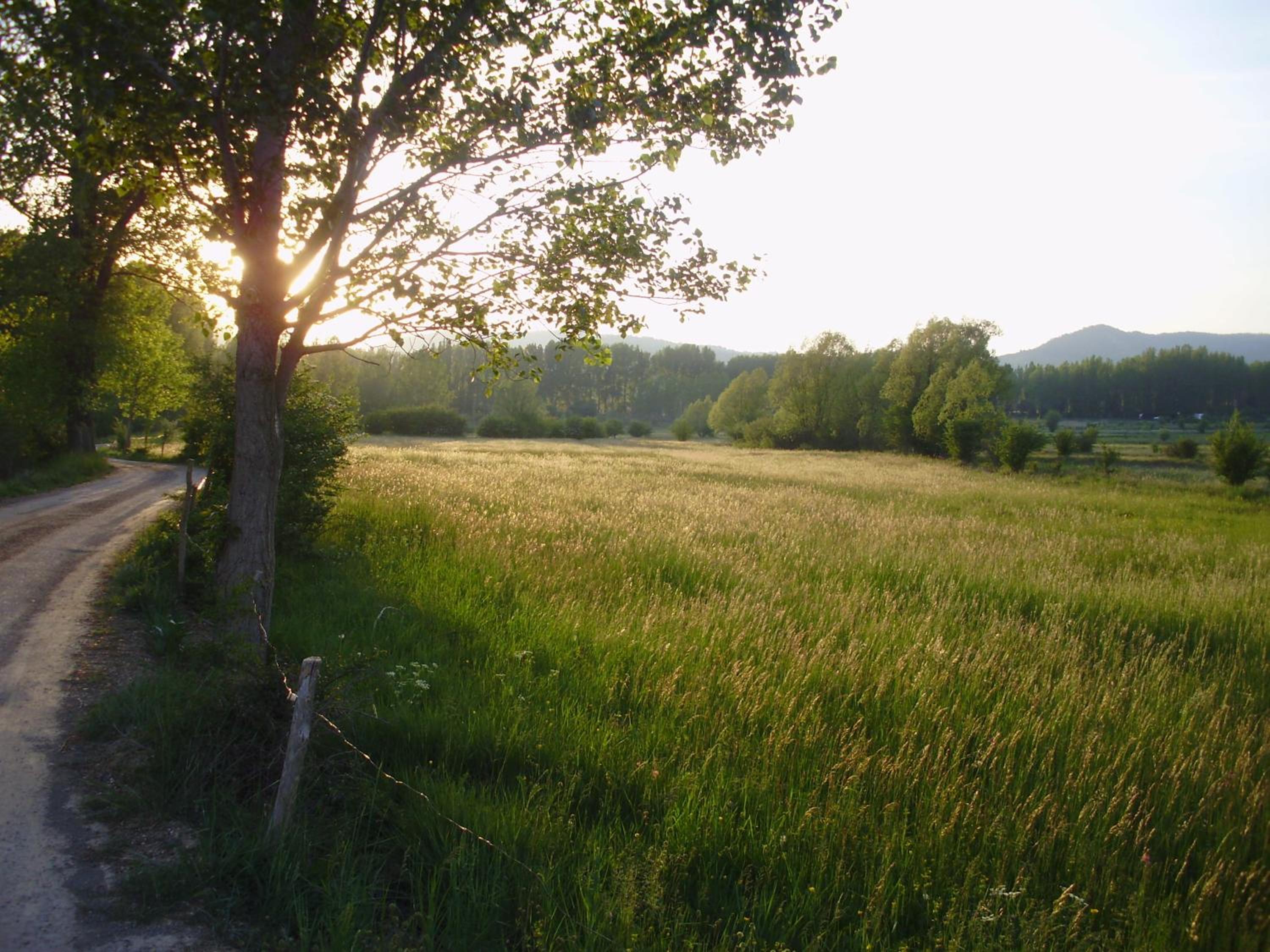 Photo 39