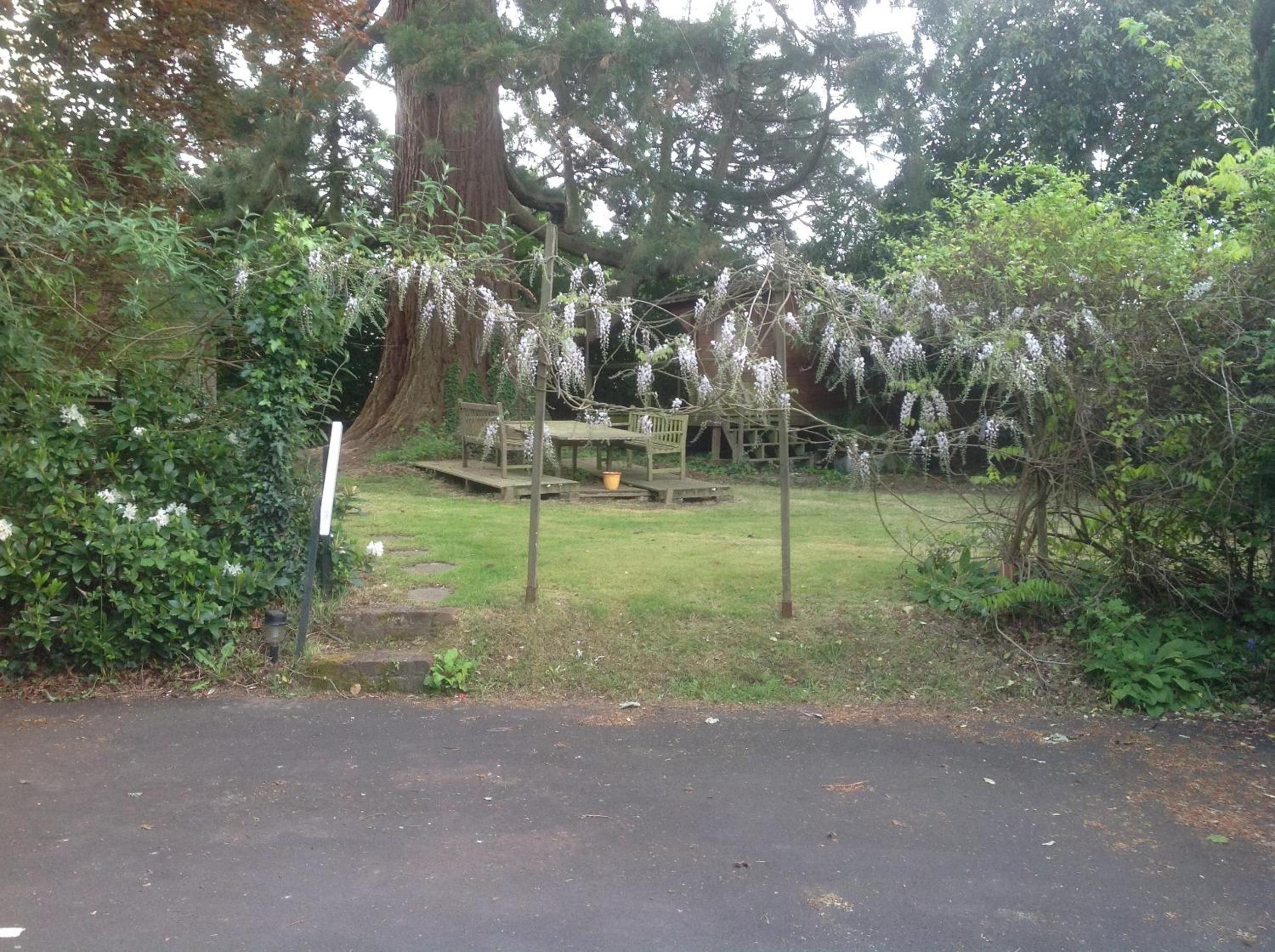 Photo 20