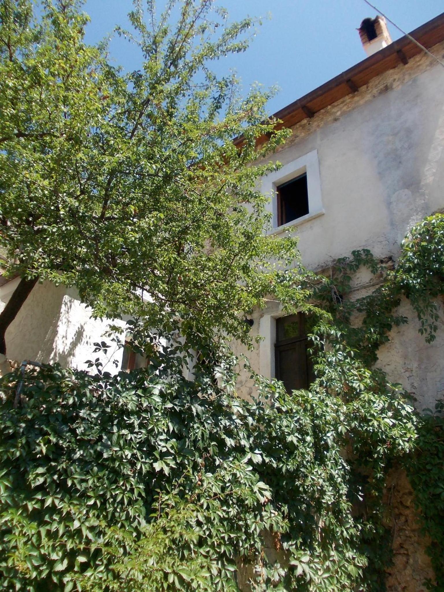 Photo 20