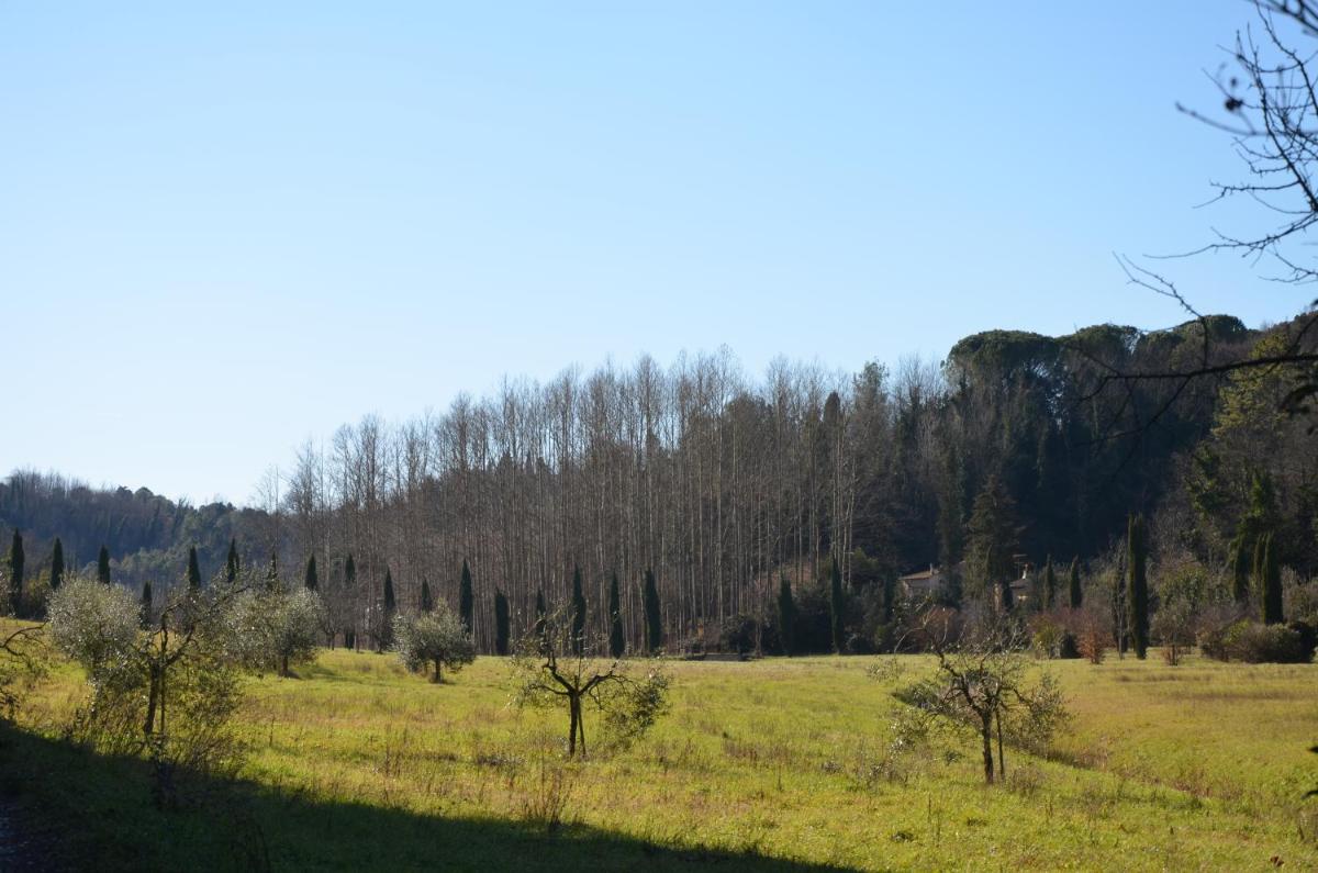 La Rinascita photo 3