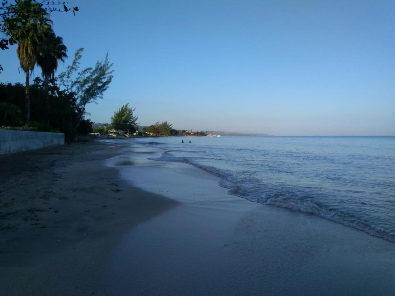 Modrians view 5