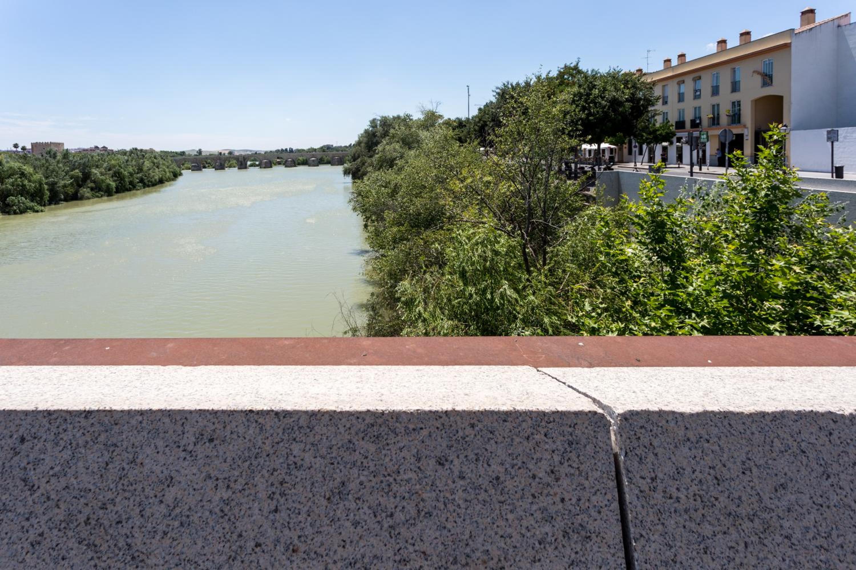 Amparo Cinco view 5