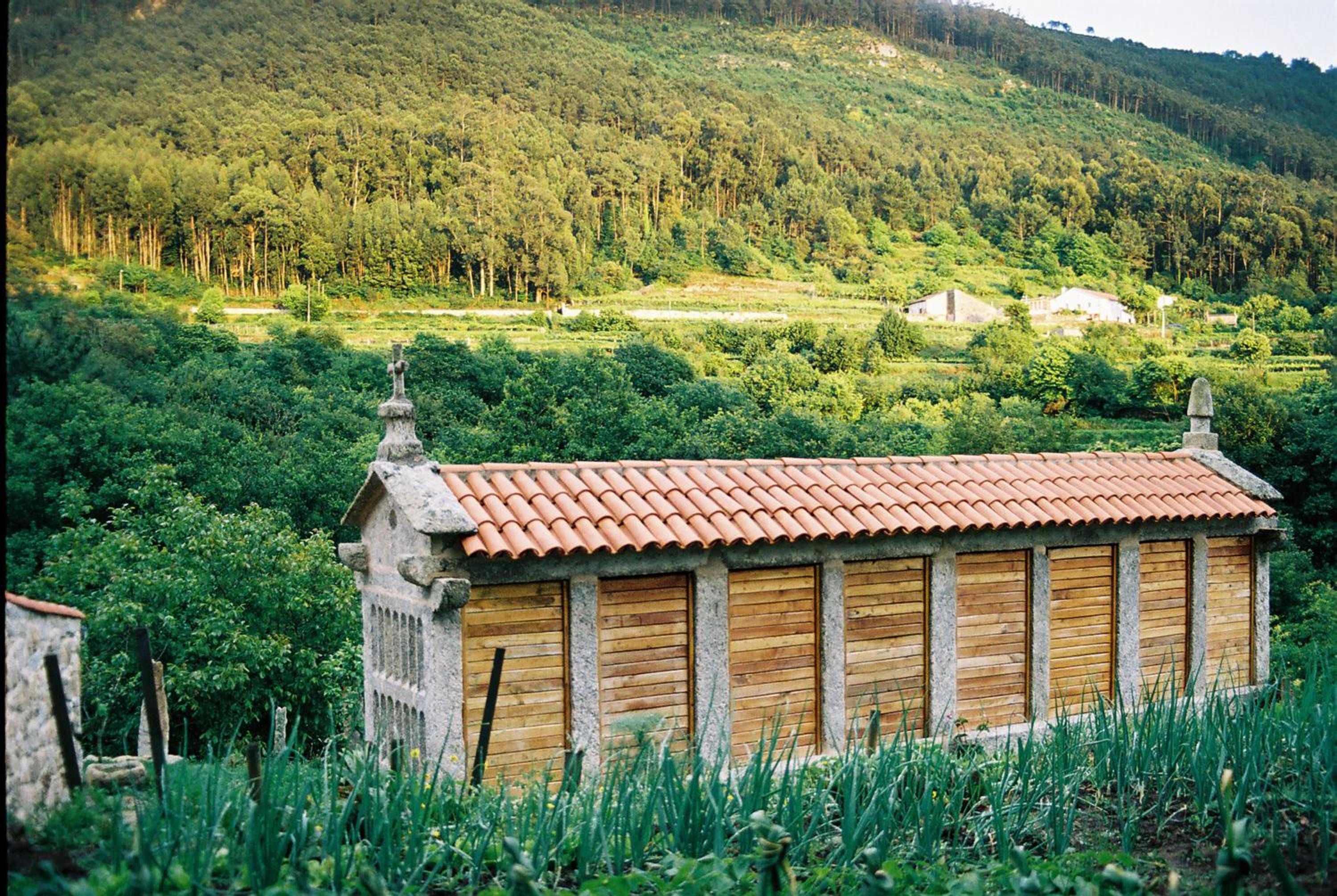 Budiño de Serraseca photo 5