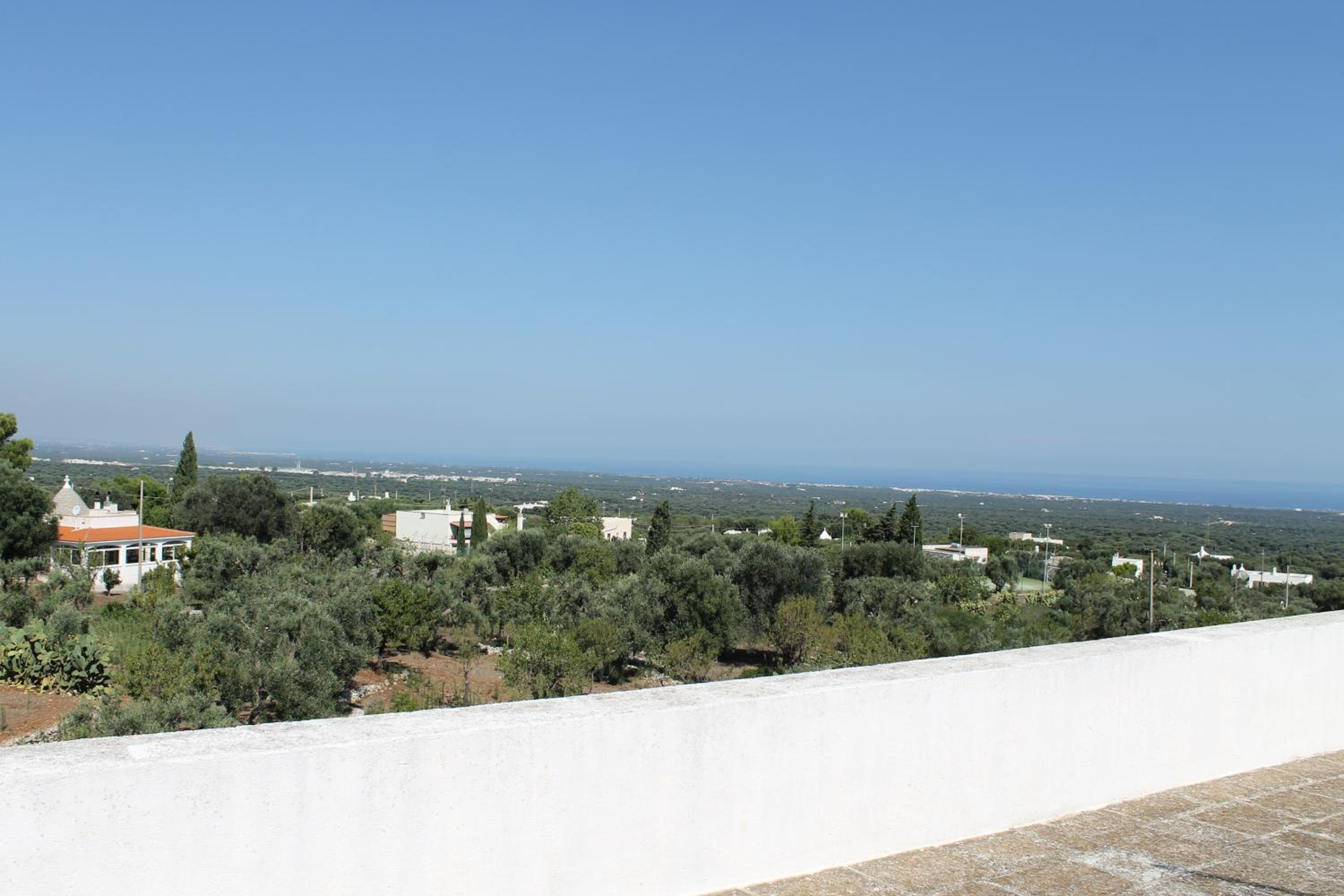 Photo 42