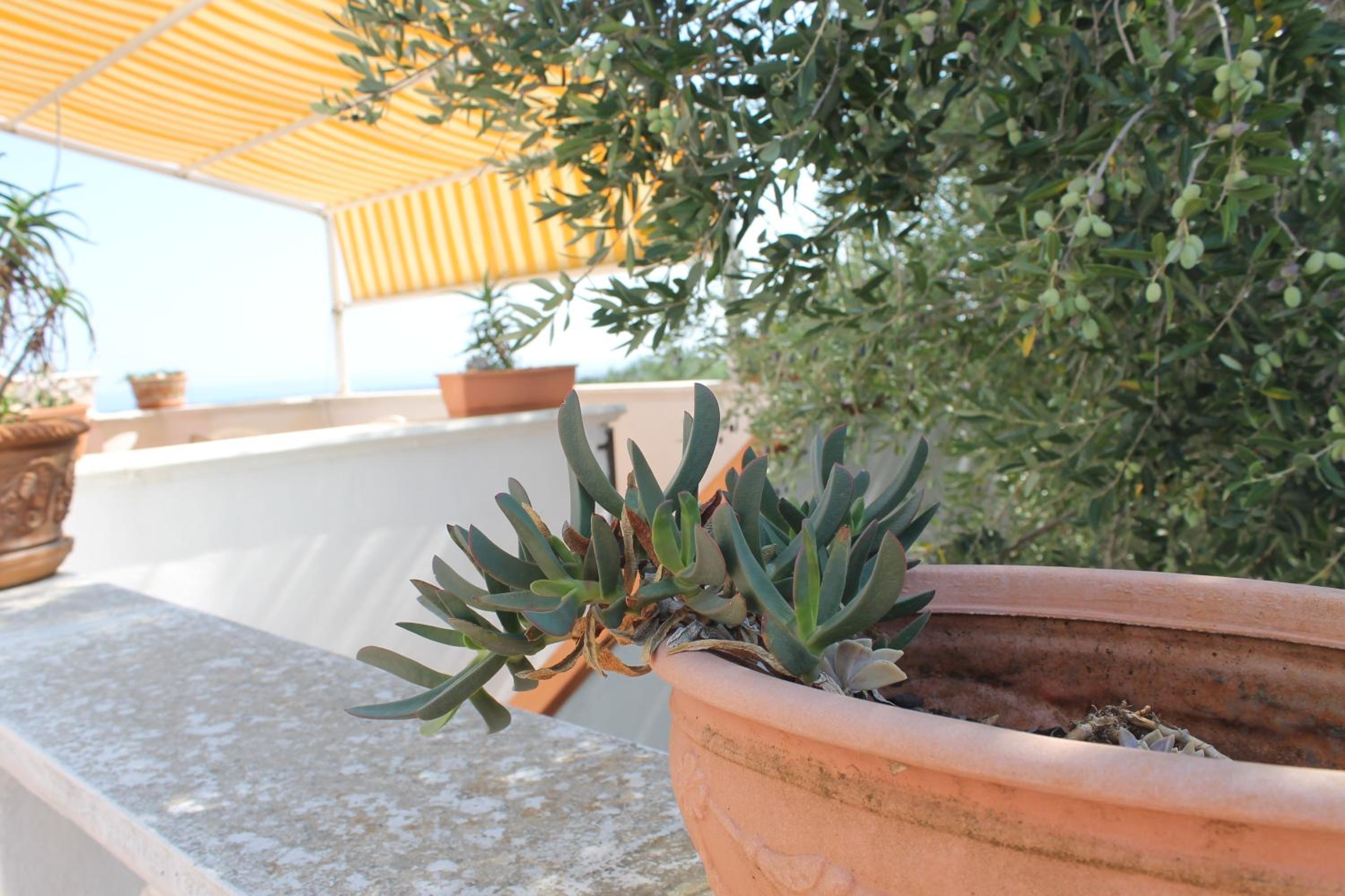 Photo 46