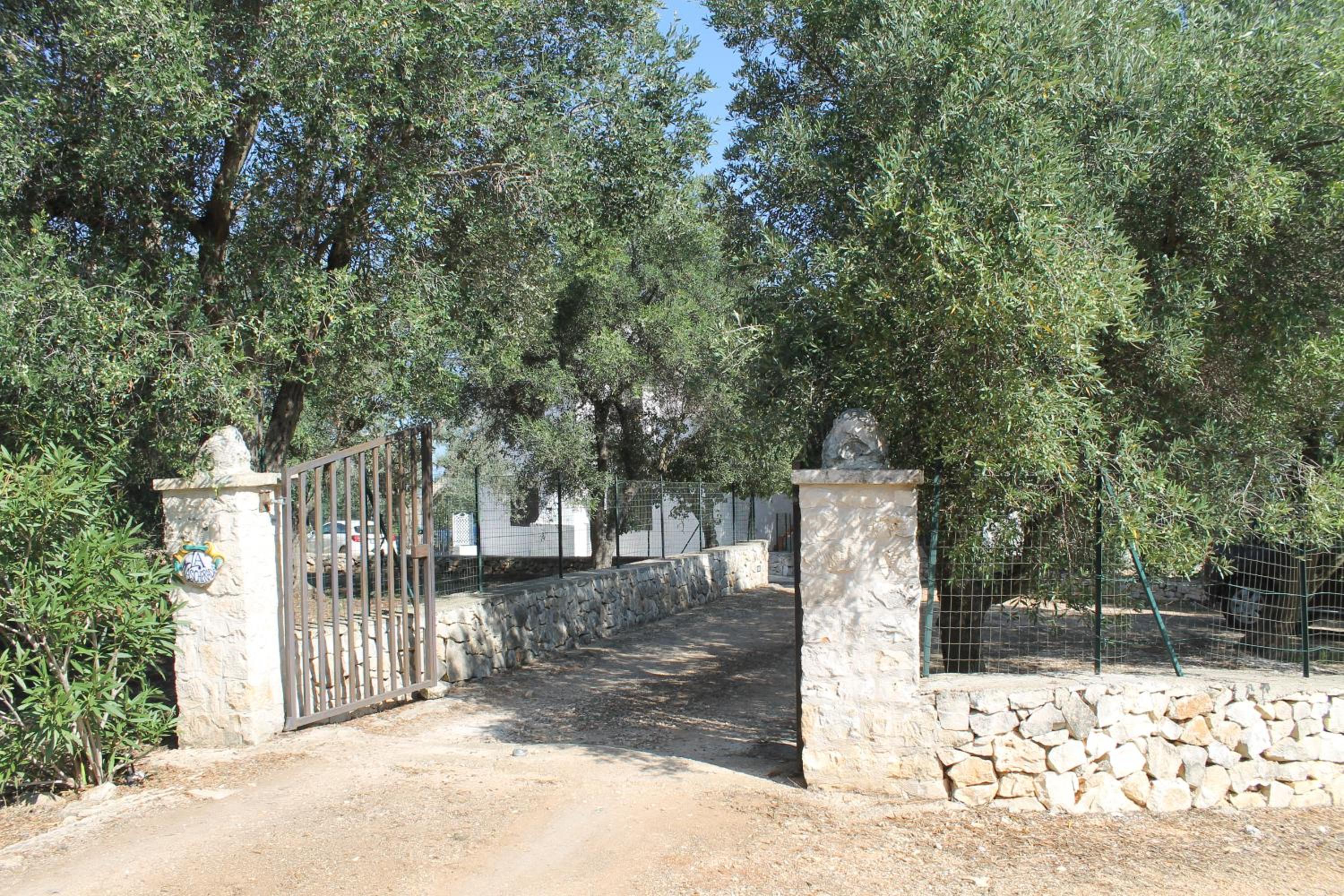 Photo 31
