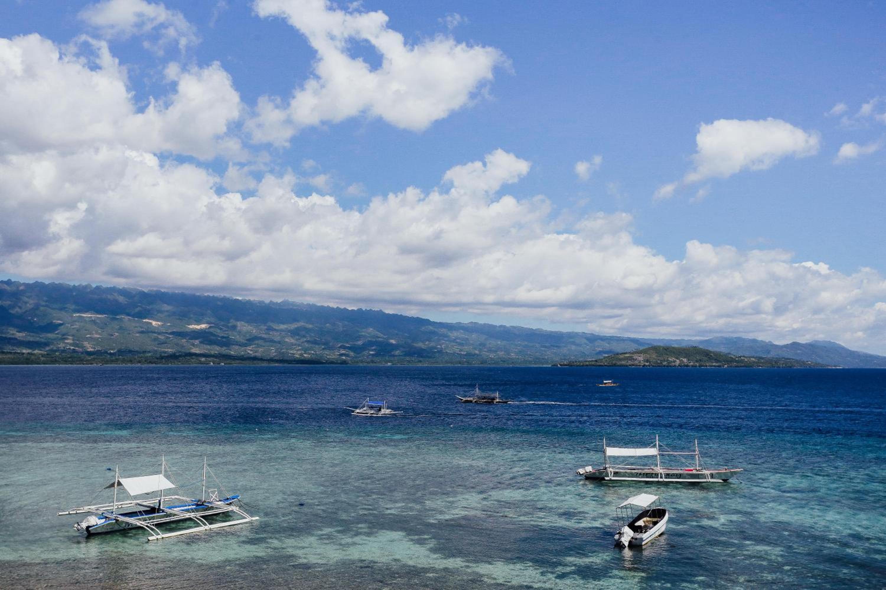 Turtle Bay Dive Resort — photo 57