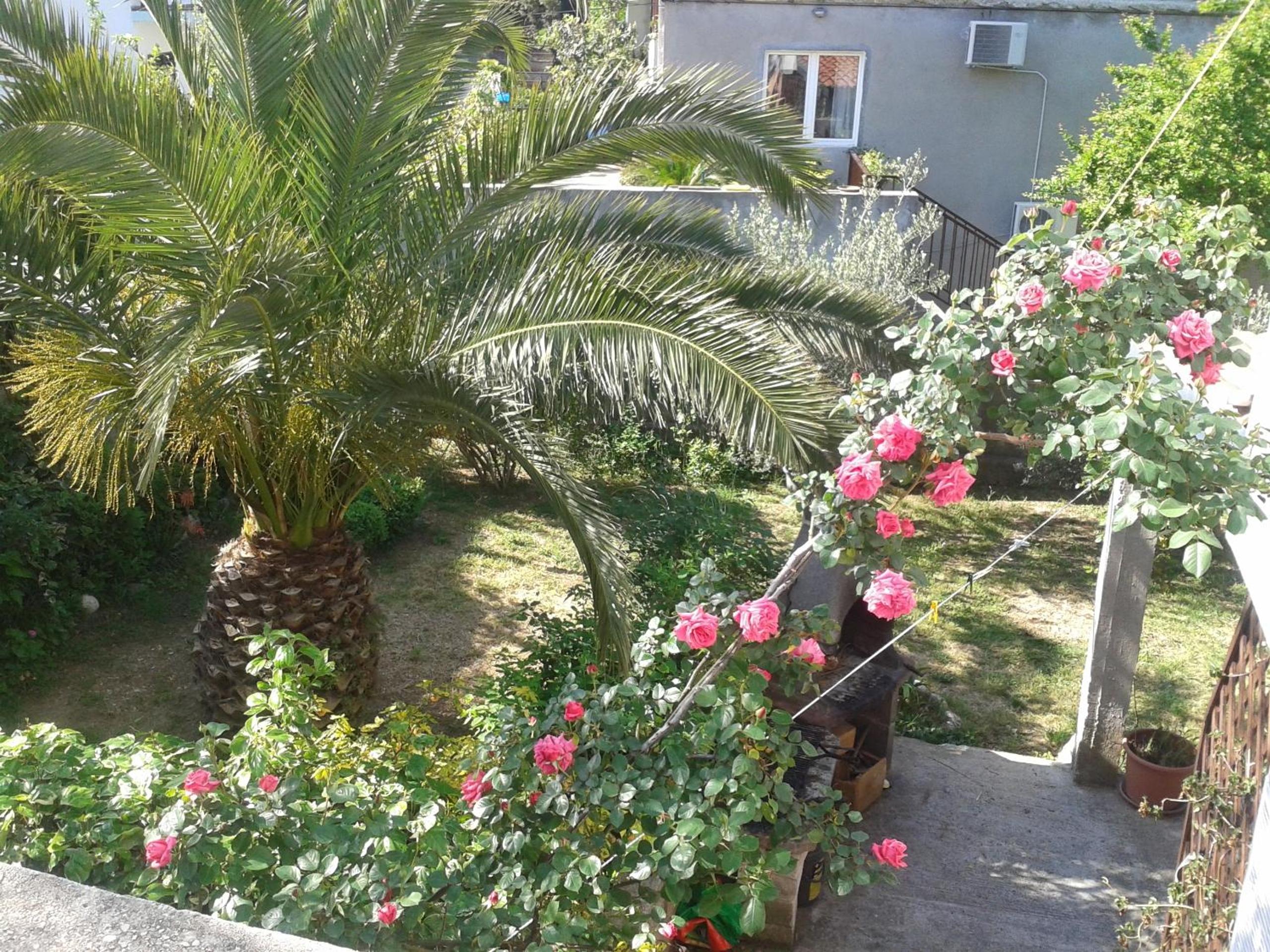 Photo 47