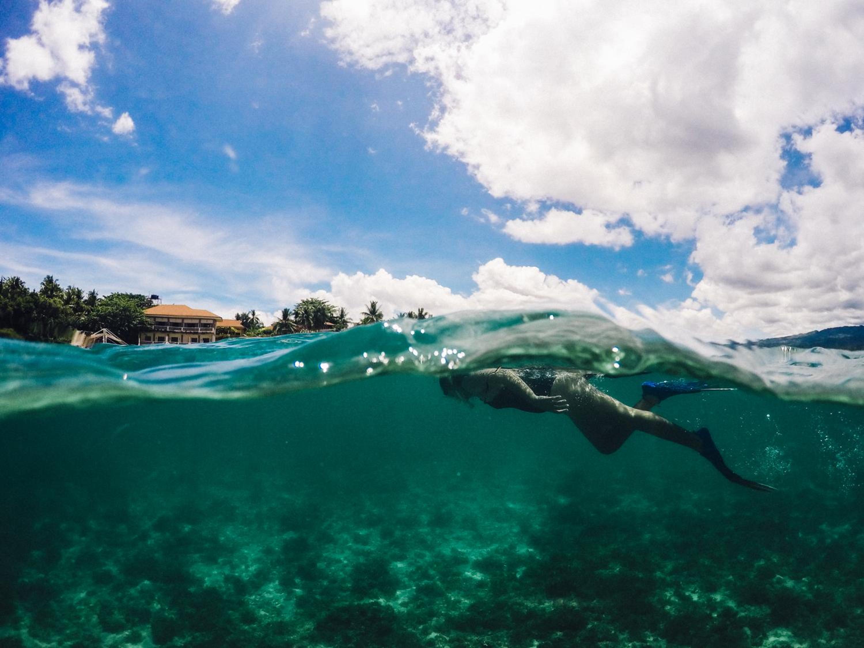 Turtle Bay Dive Resort — photo 68