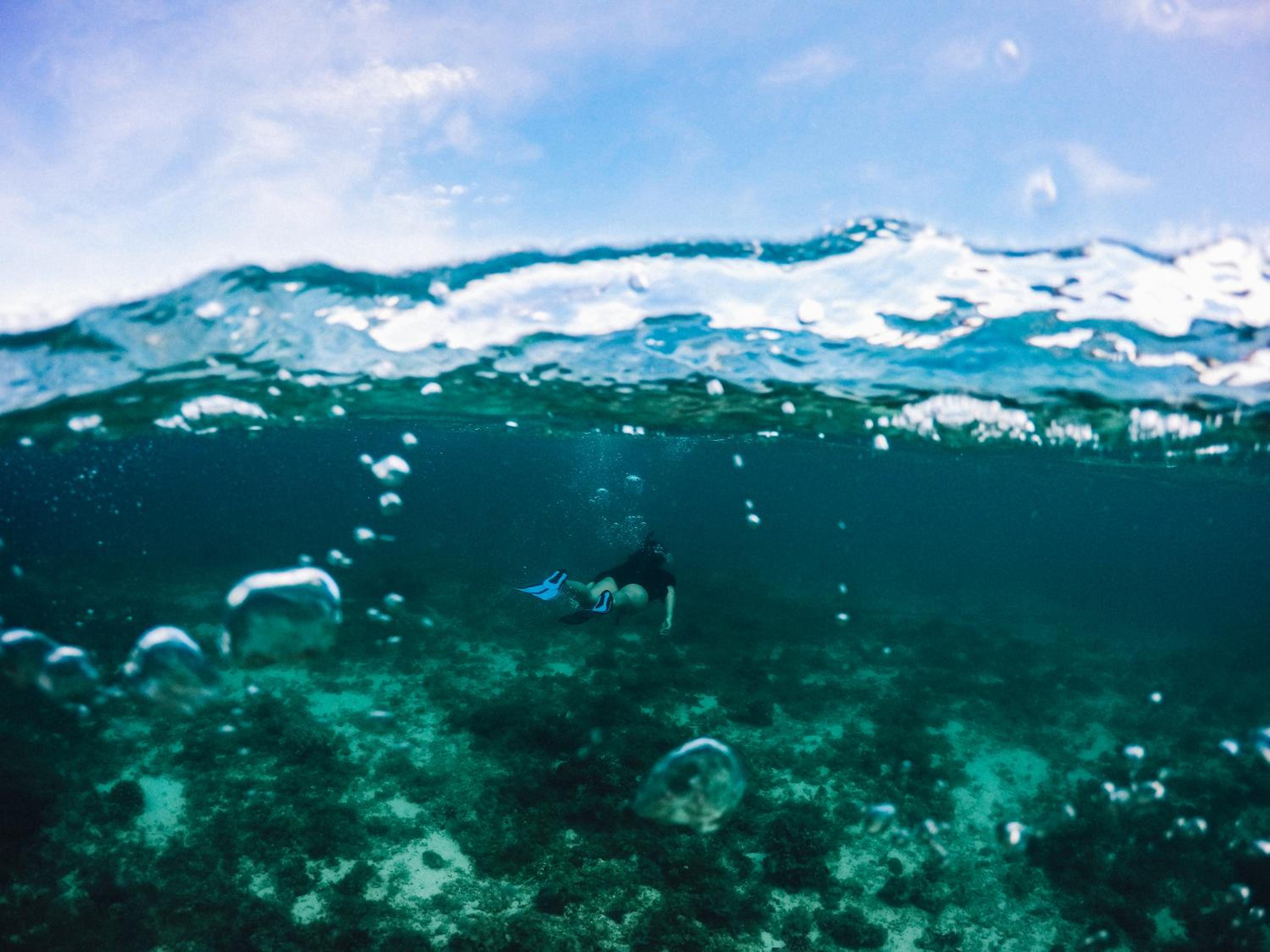 Turtle Bay Dive Resort — photo 46