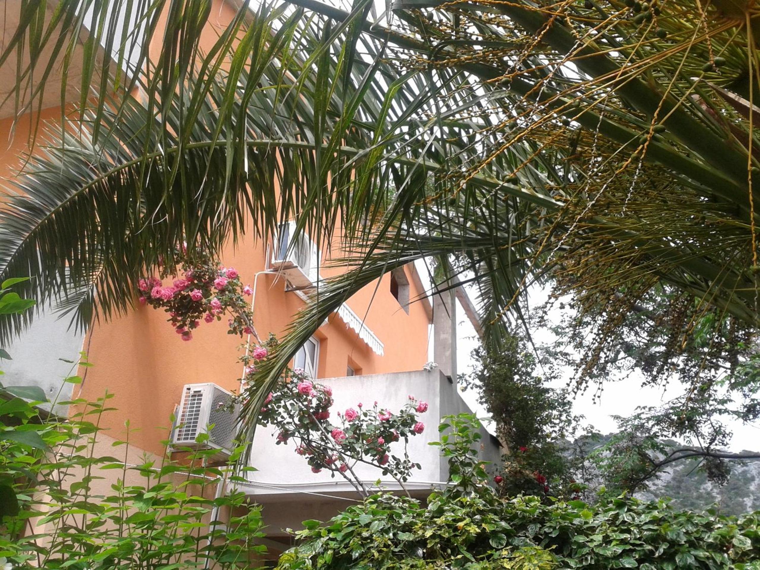 Photo 43