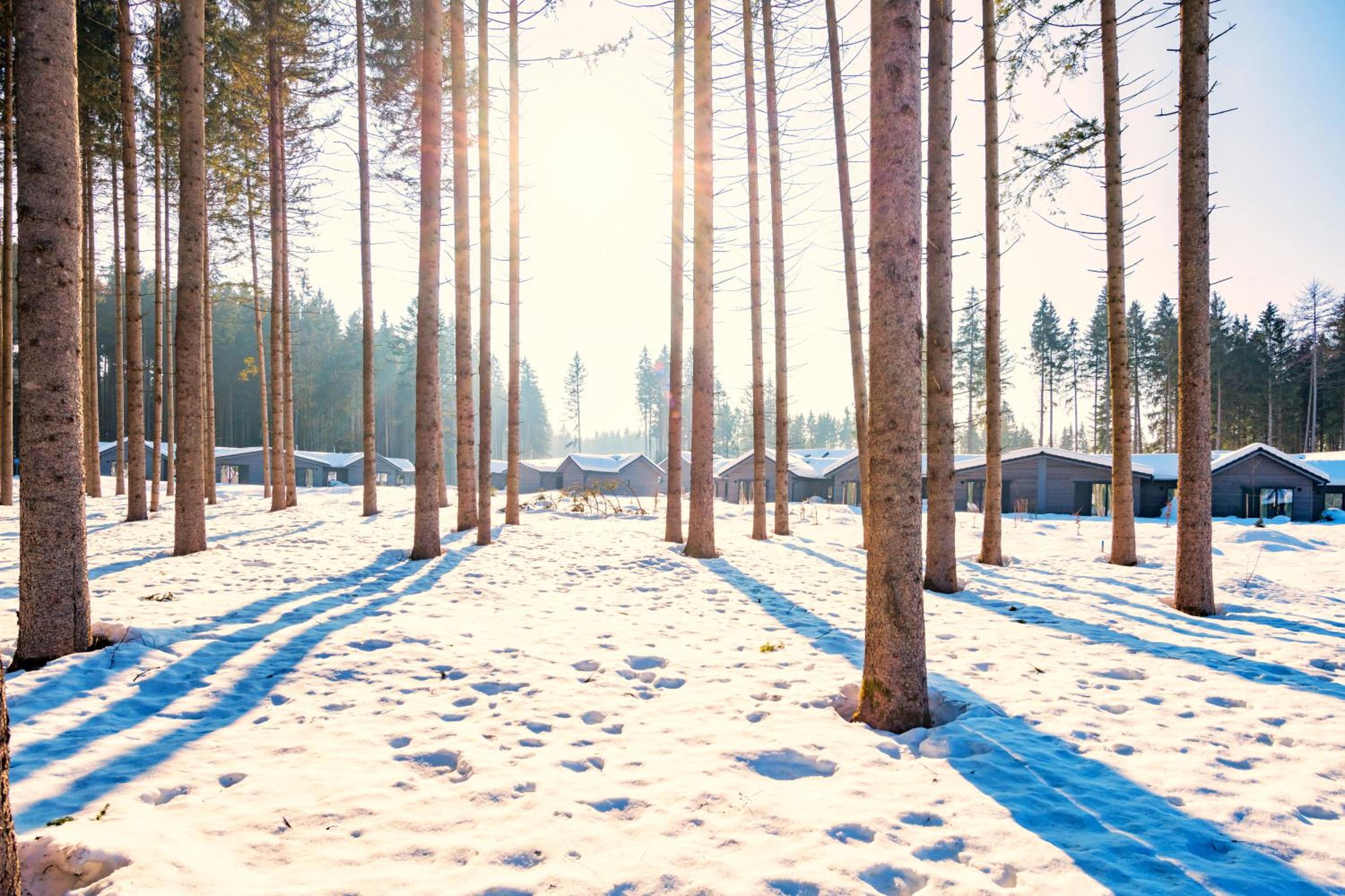Center Parcs Park Allgäu
