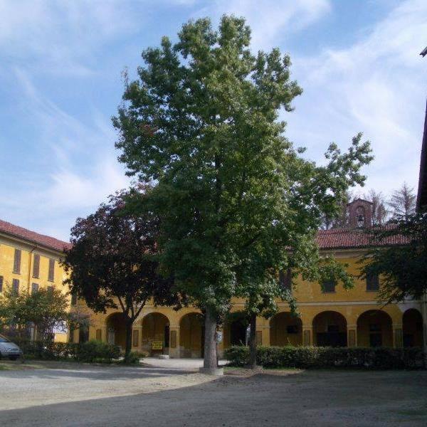 Photo 32