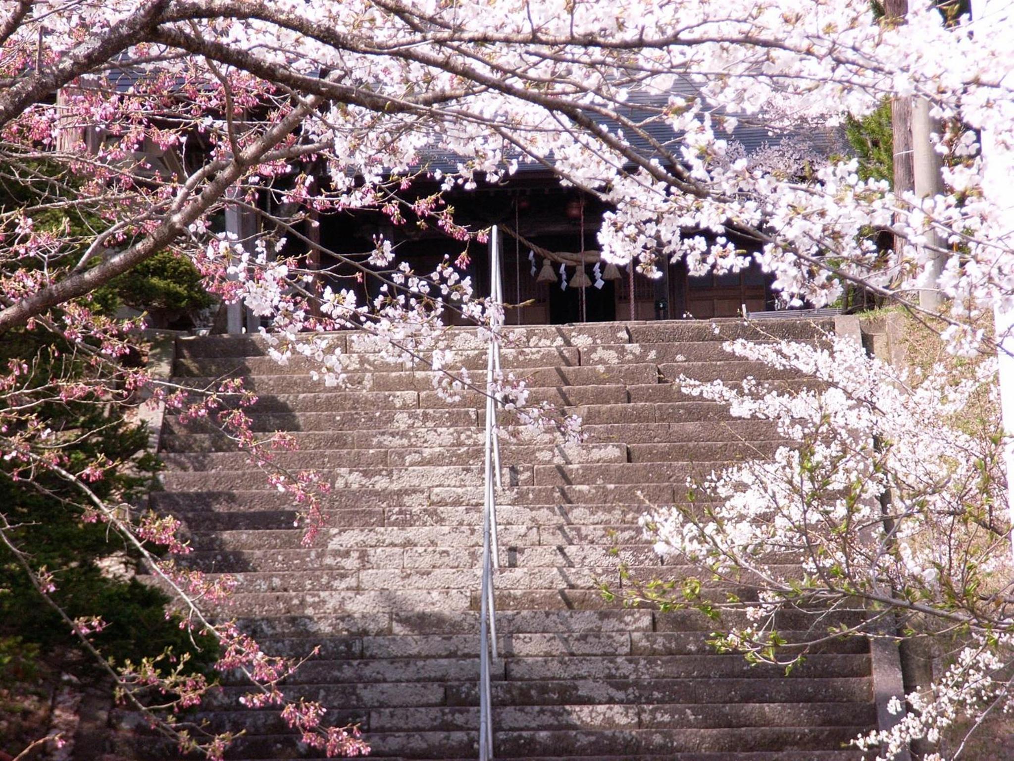 Photo 27