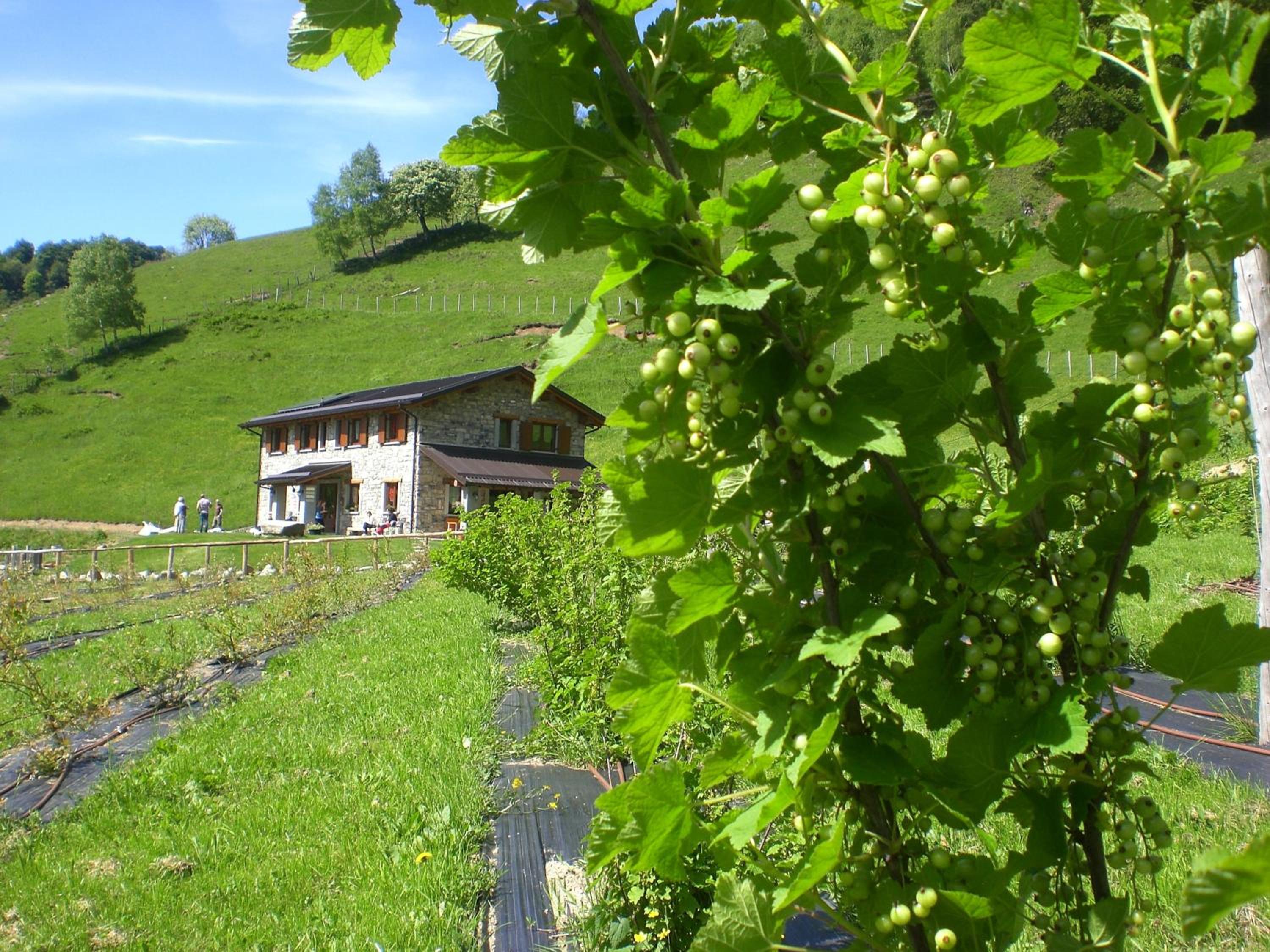 Agriturismo Le Radici