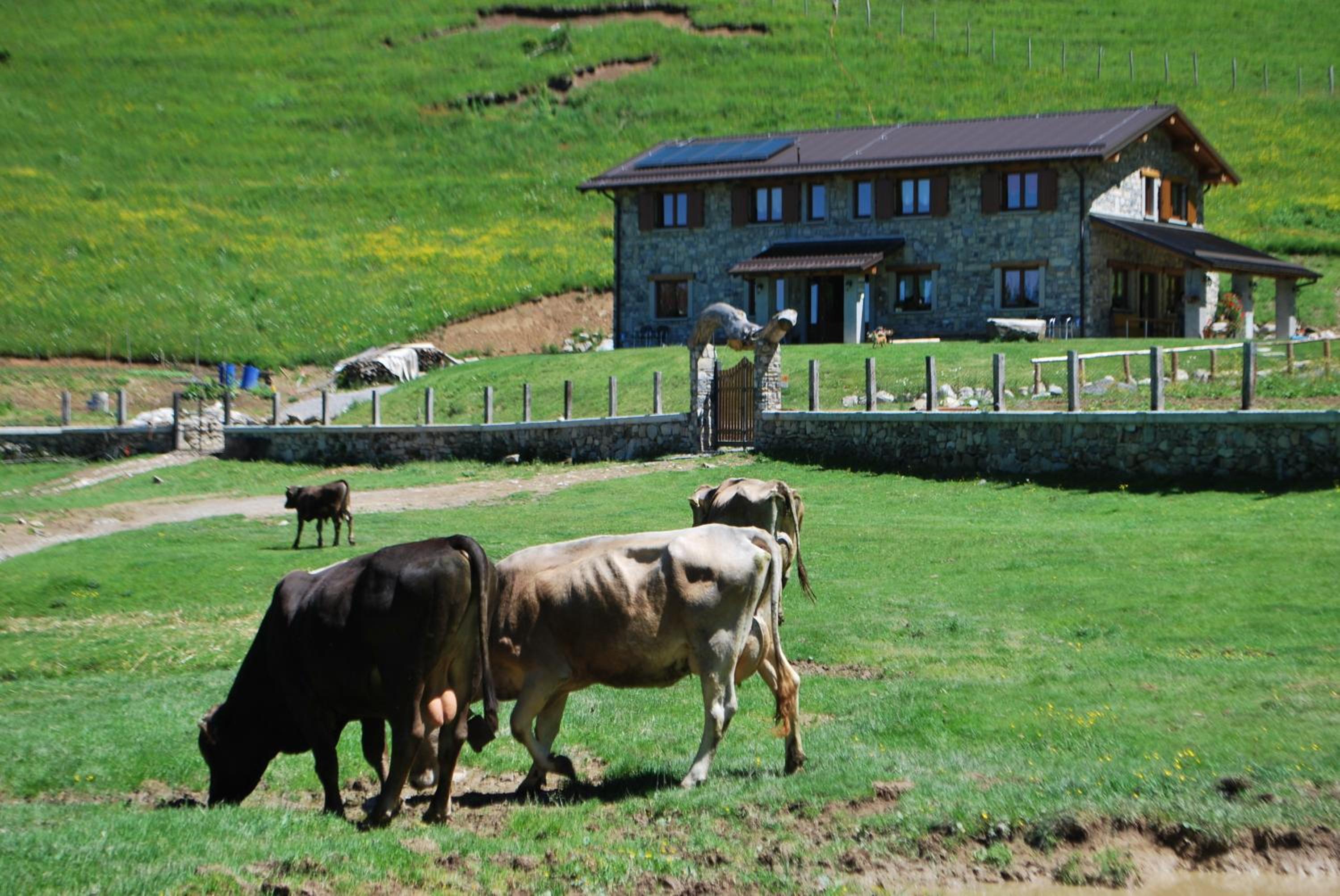 Agriturismo Le Radici