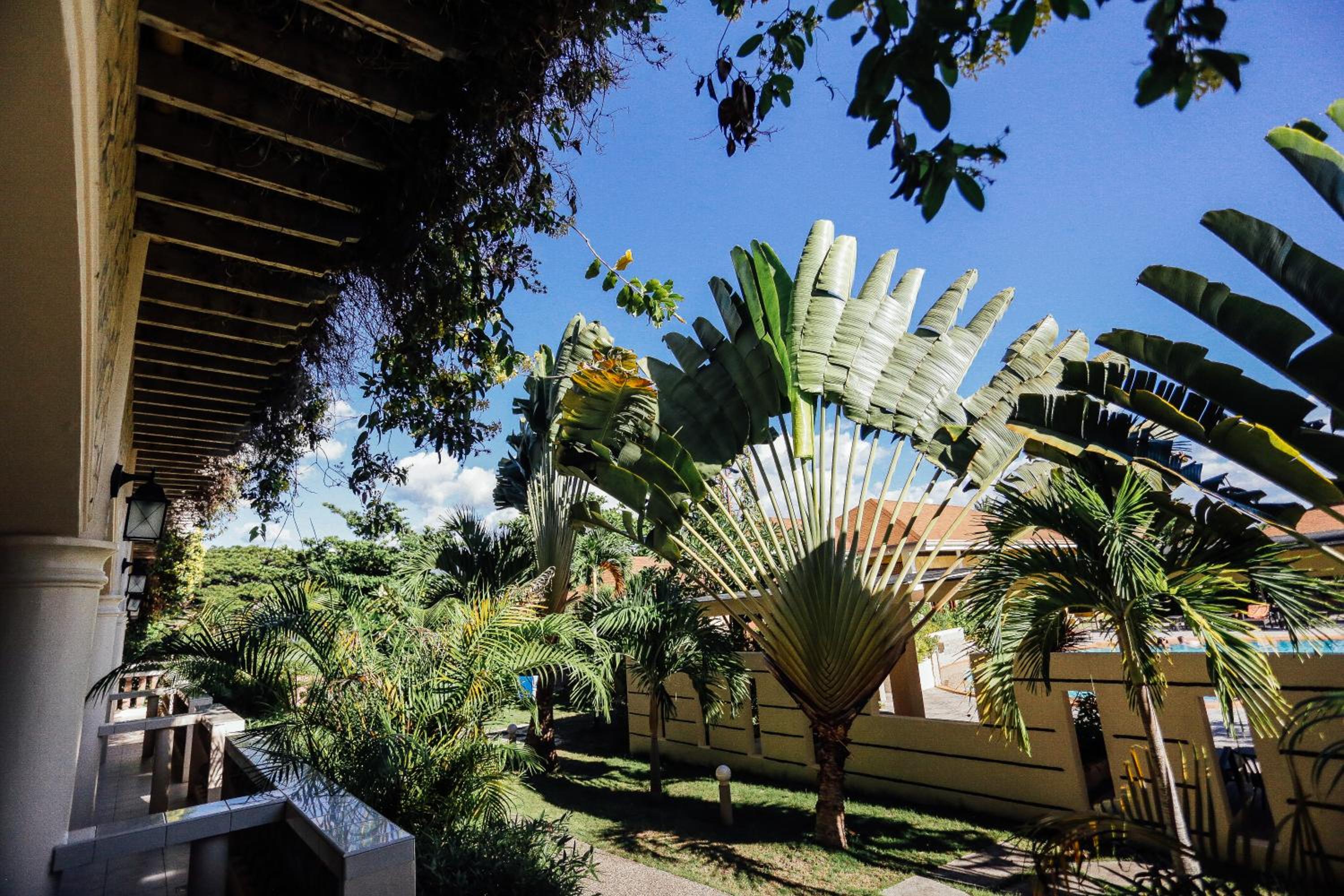 Turtle Bay Dive Resort