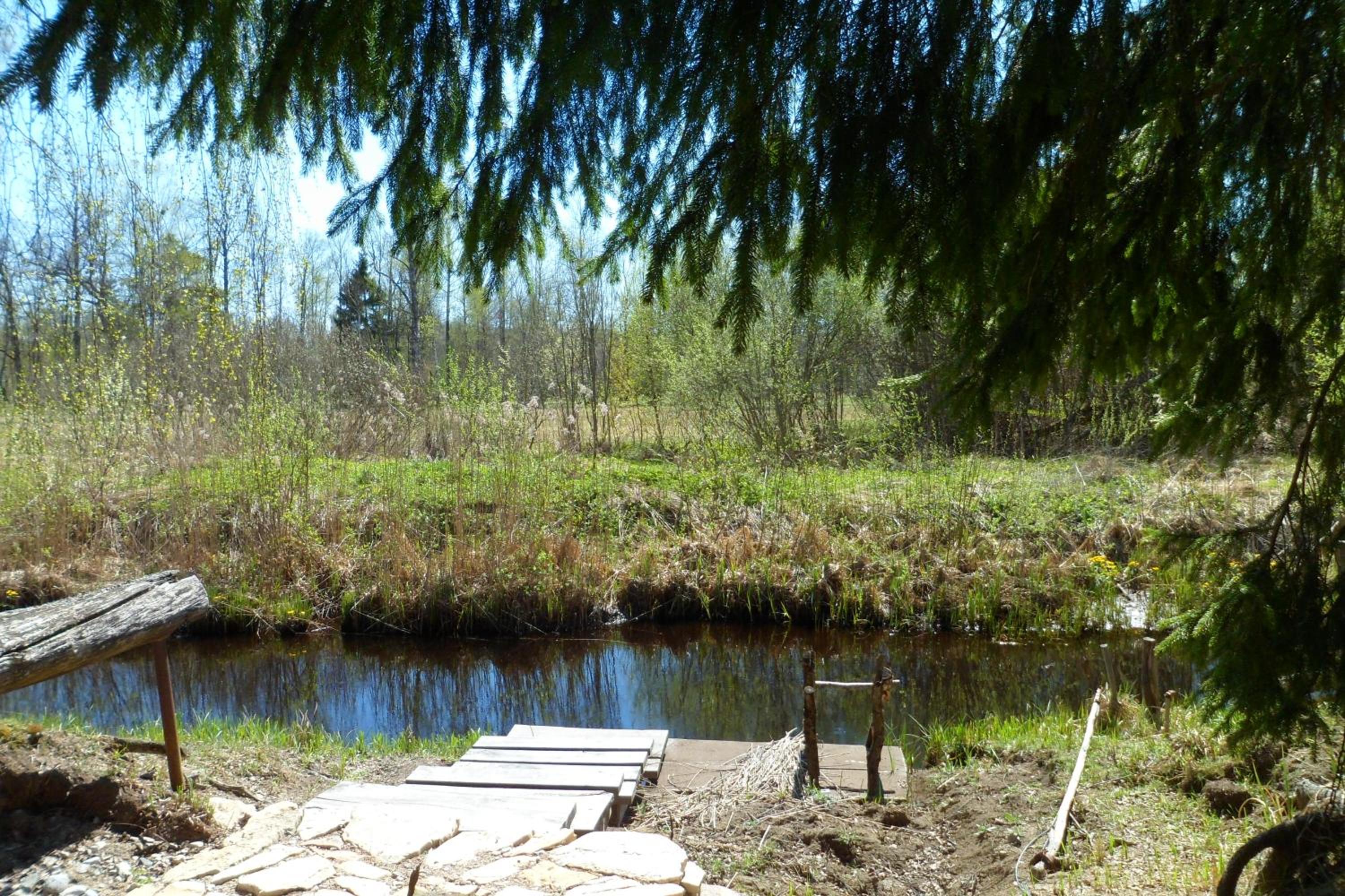 Photo 24