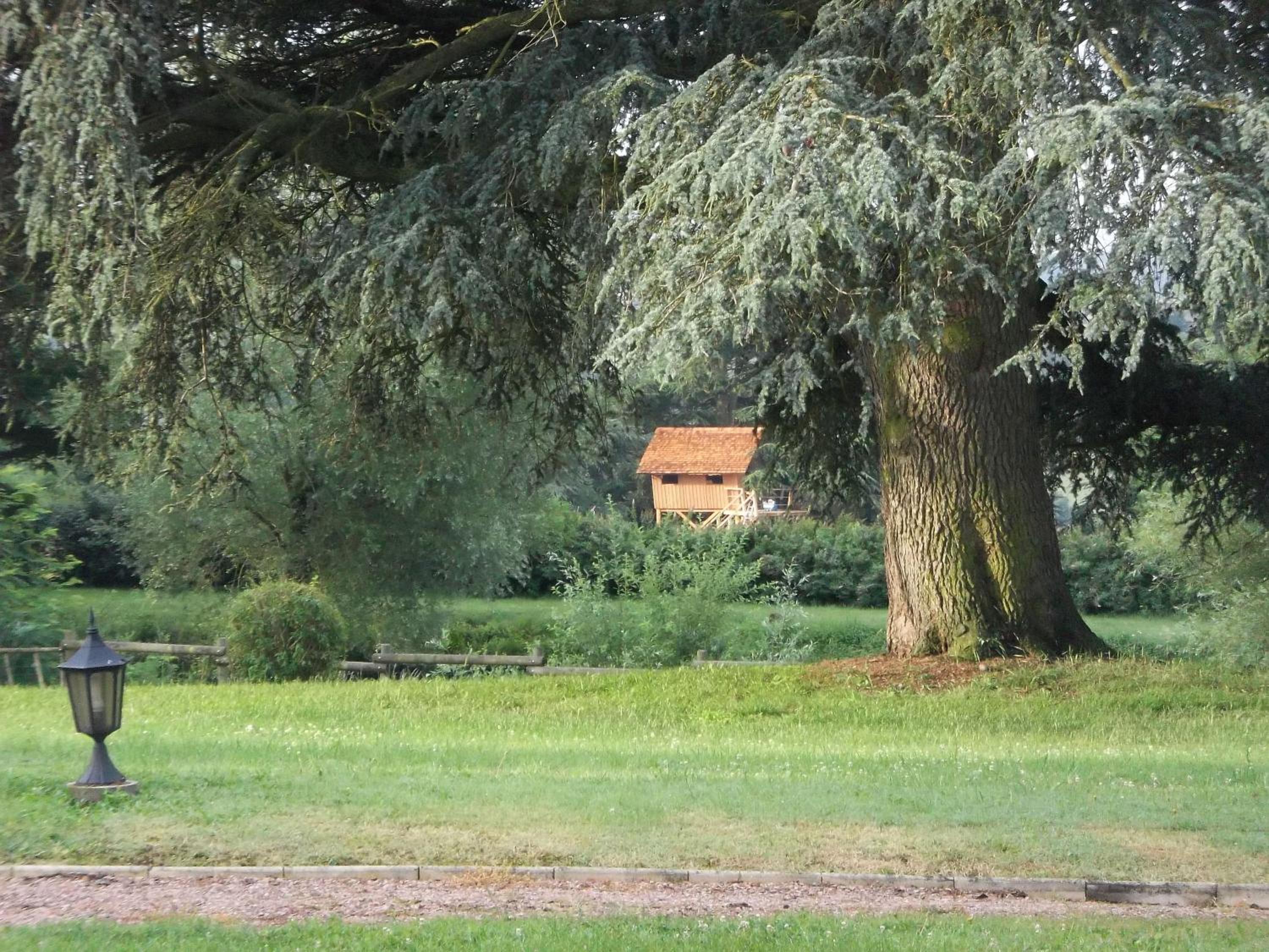 Domaine des Grands Cèdres view 2