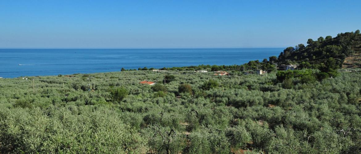 Camping Fontana delle Rose view 2