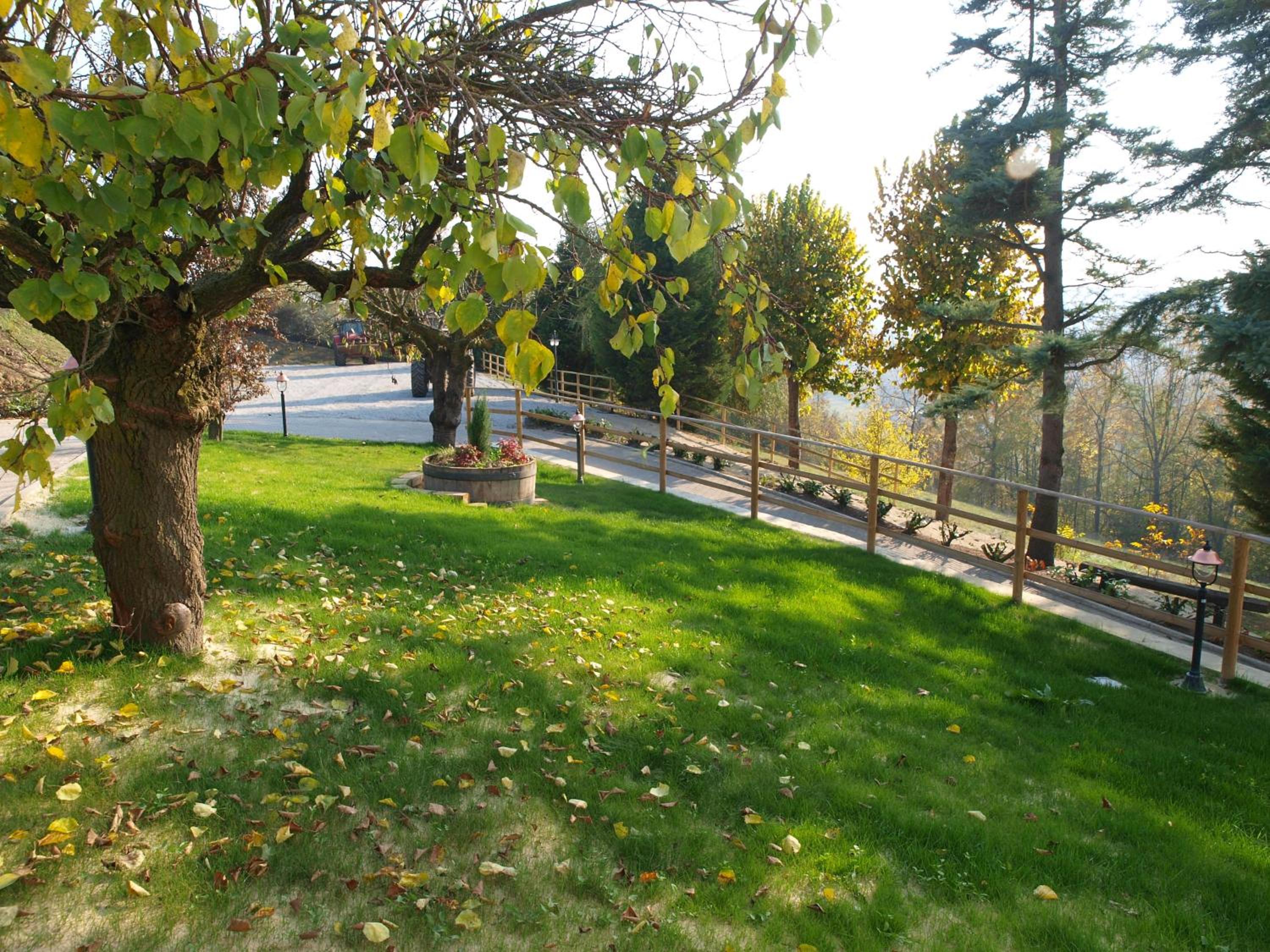 Photo 19