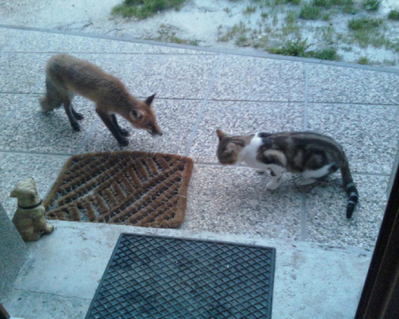 Photo 32