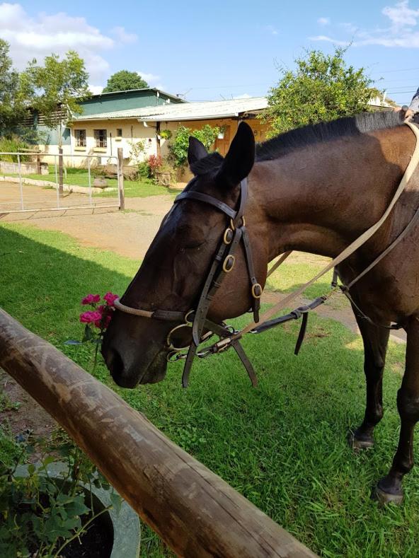 The little Club Getaway at The Hay Barn