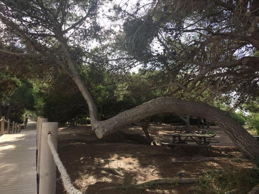 Apartamento el Descanso